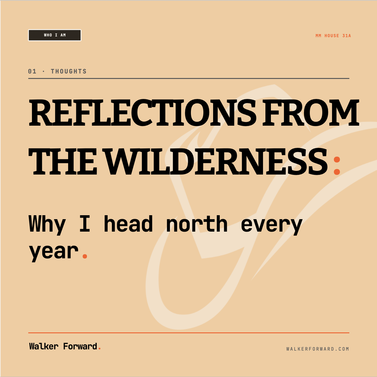 Reflections from the Wilderness: Why I Head North Every Year