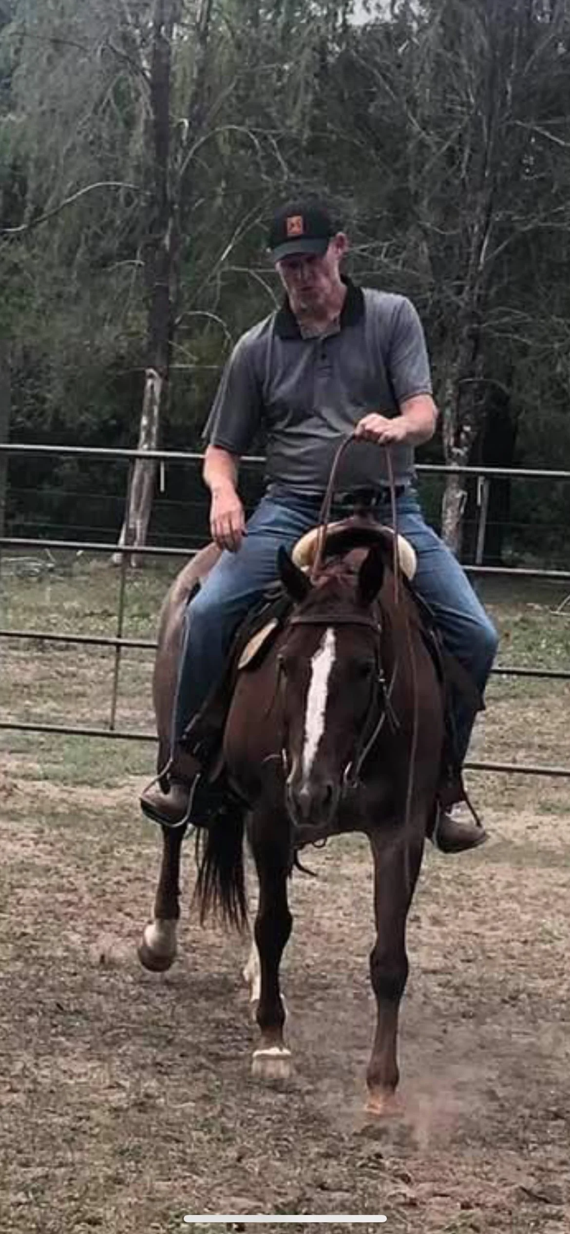 A man wearing a black cap, gray polo shirt, and jeans riding a brown horse with white markings on its face in an outdoor riding area surrounded by a metal fence and trees.