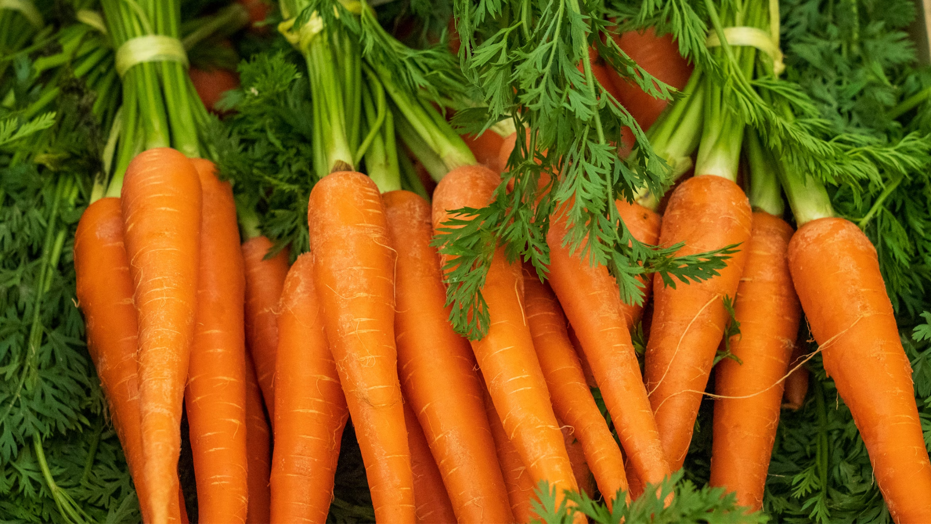 Editorial ✖ Sell Veg Like Vapes