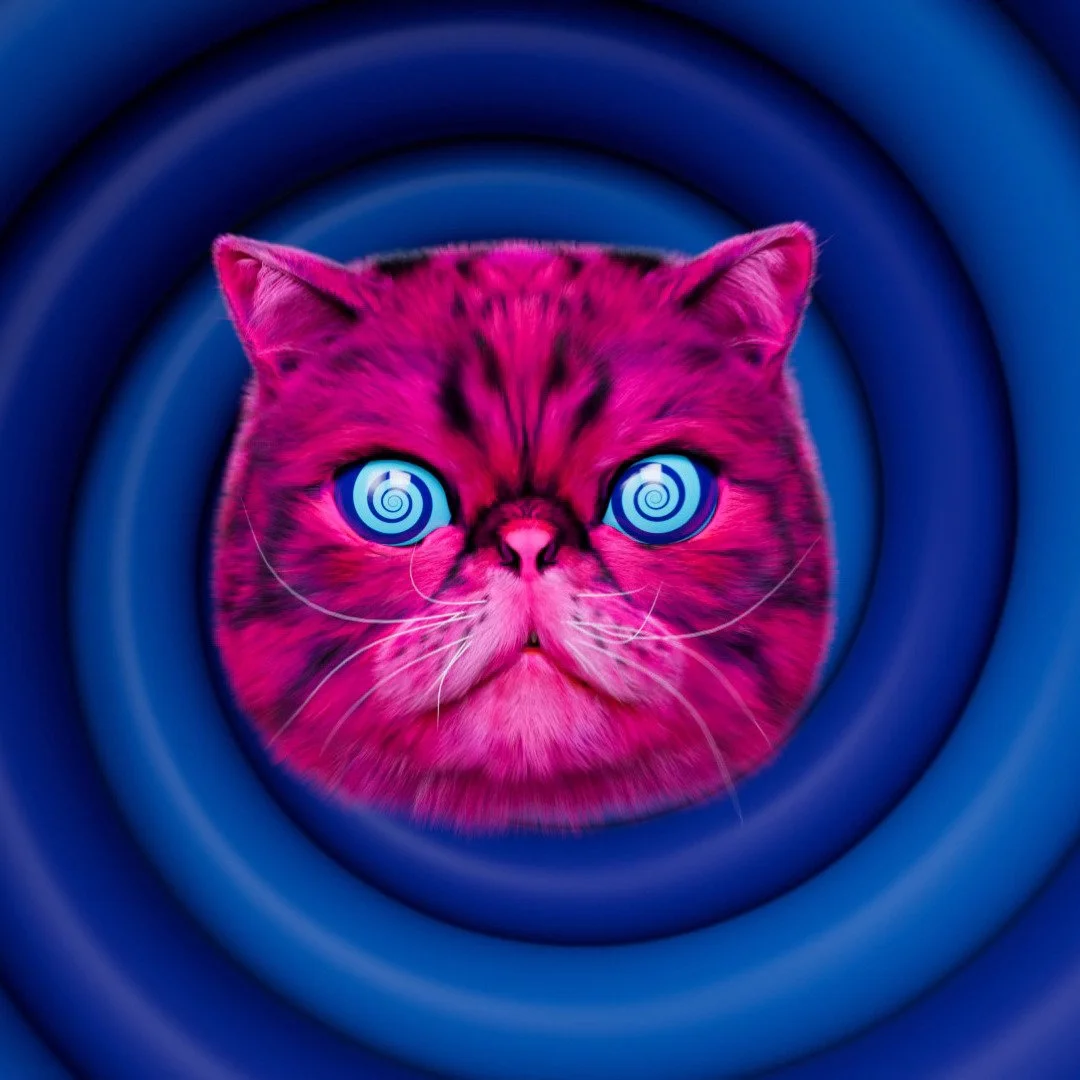 What if your next campaign didn&rsquo;t just sell, it shifted culture?

When Material Focus wanted to make electrical recycling matter, we didn&rsquo;t give people more facts. We gave them HypnoCat, a hypnotic pink feline who turned recycling from a 