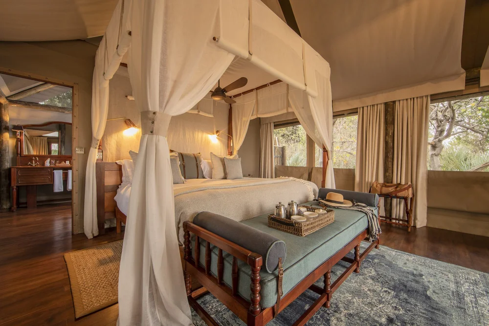 Tenda de safári confortável no Delta do Okavango — Safari Clássico