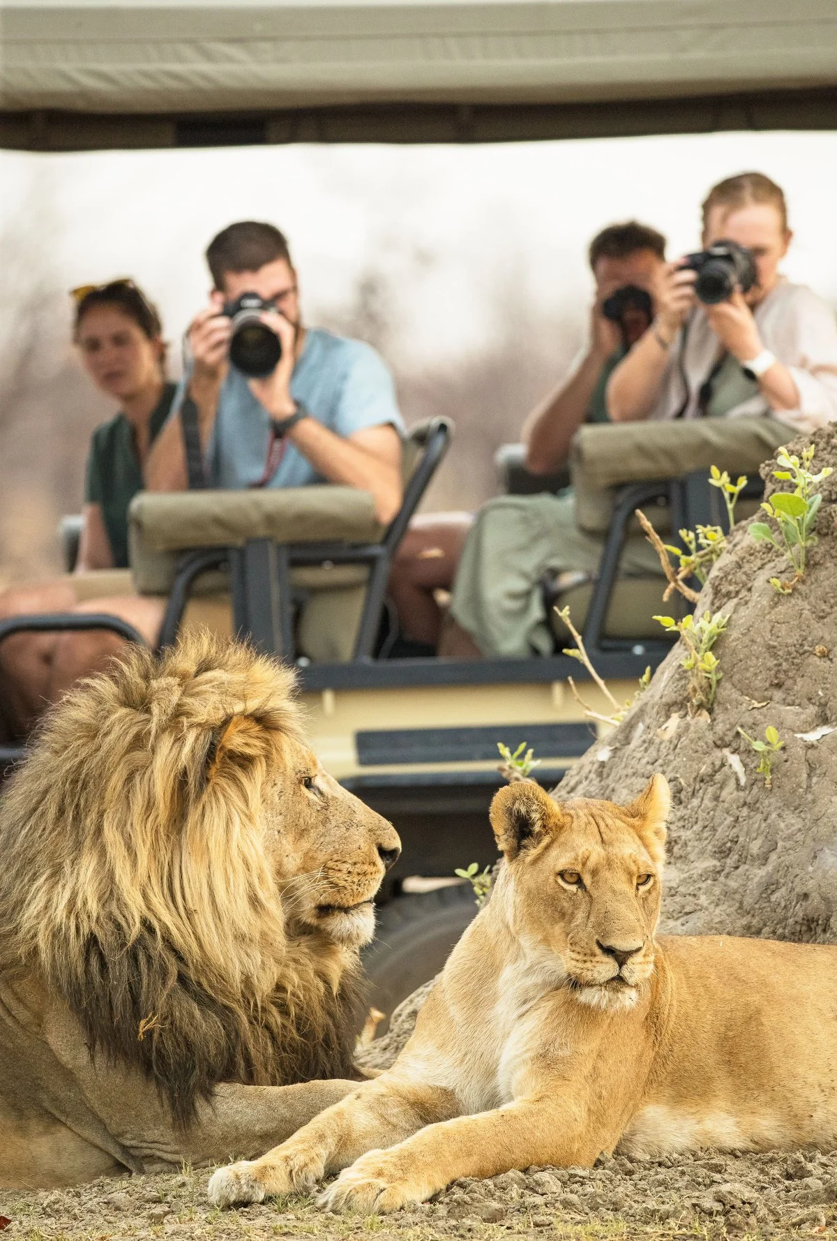 amazing-botswana-savute-safari-lodge-1.jpg