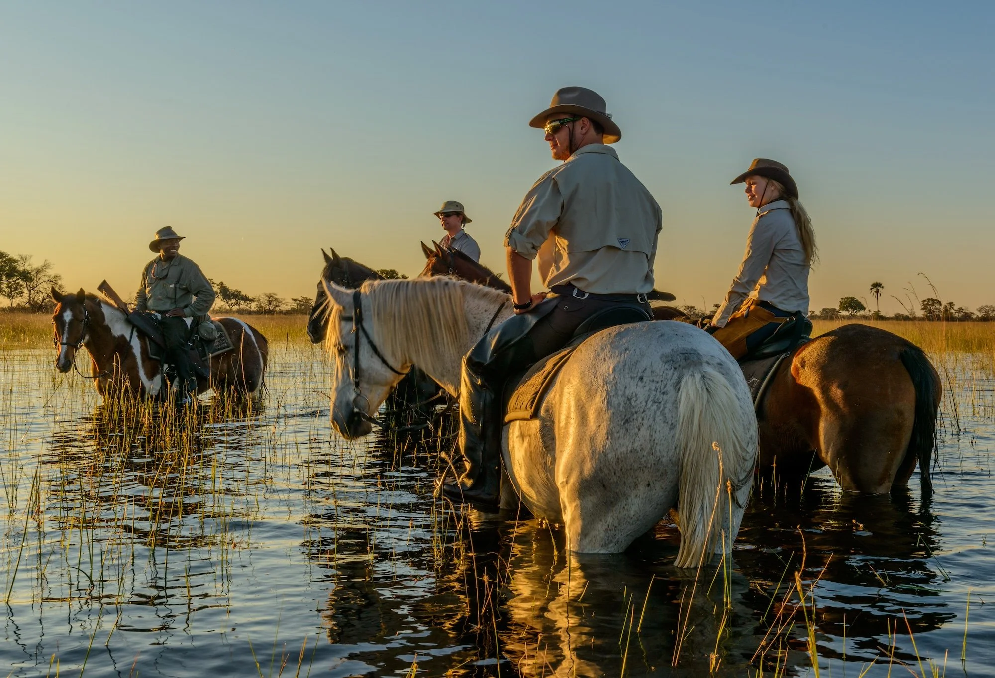 People riding horses through a shallow water body during sunset, with tall grass and trees in the background.