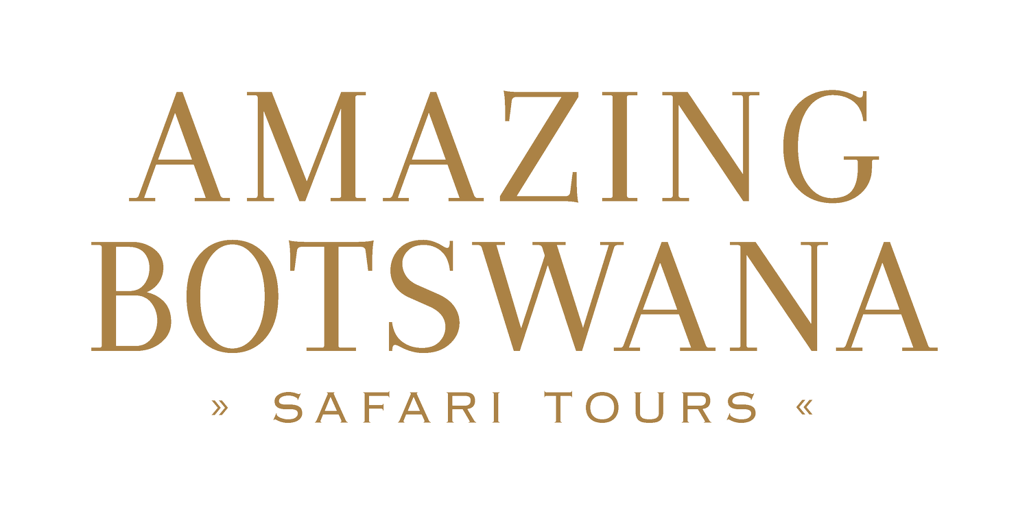 AMAZING BOTSWANA | Safáris em Botsuana