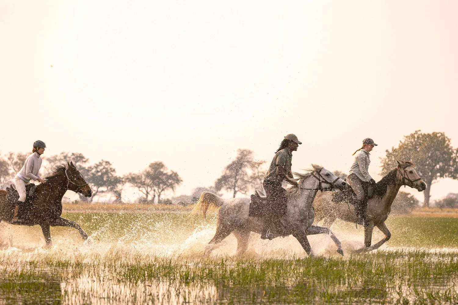 Safári a cavalo em Botsuana