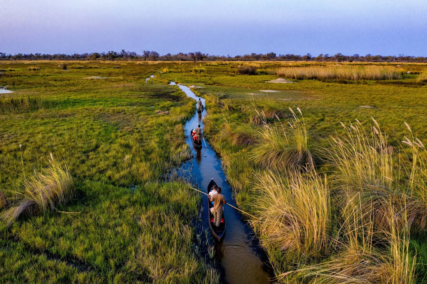 Mokoro navegando pelos canais do Delta do Okavango