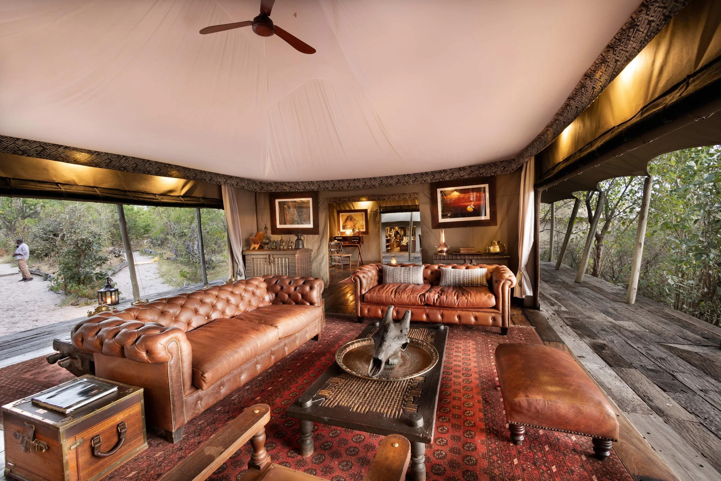 Safari Ultra Luxo Botsuana - Imagens