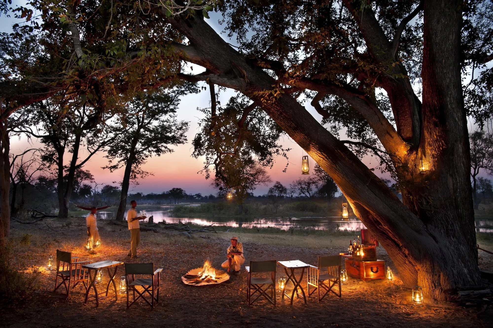 Safari Ultra Luxo Botsuana - Imagens