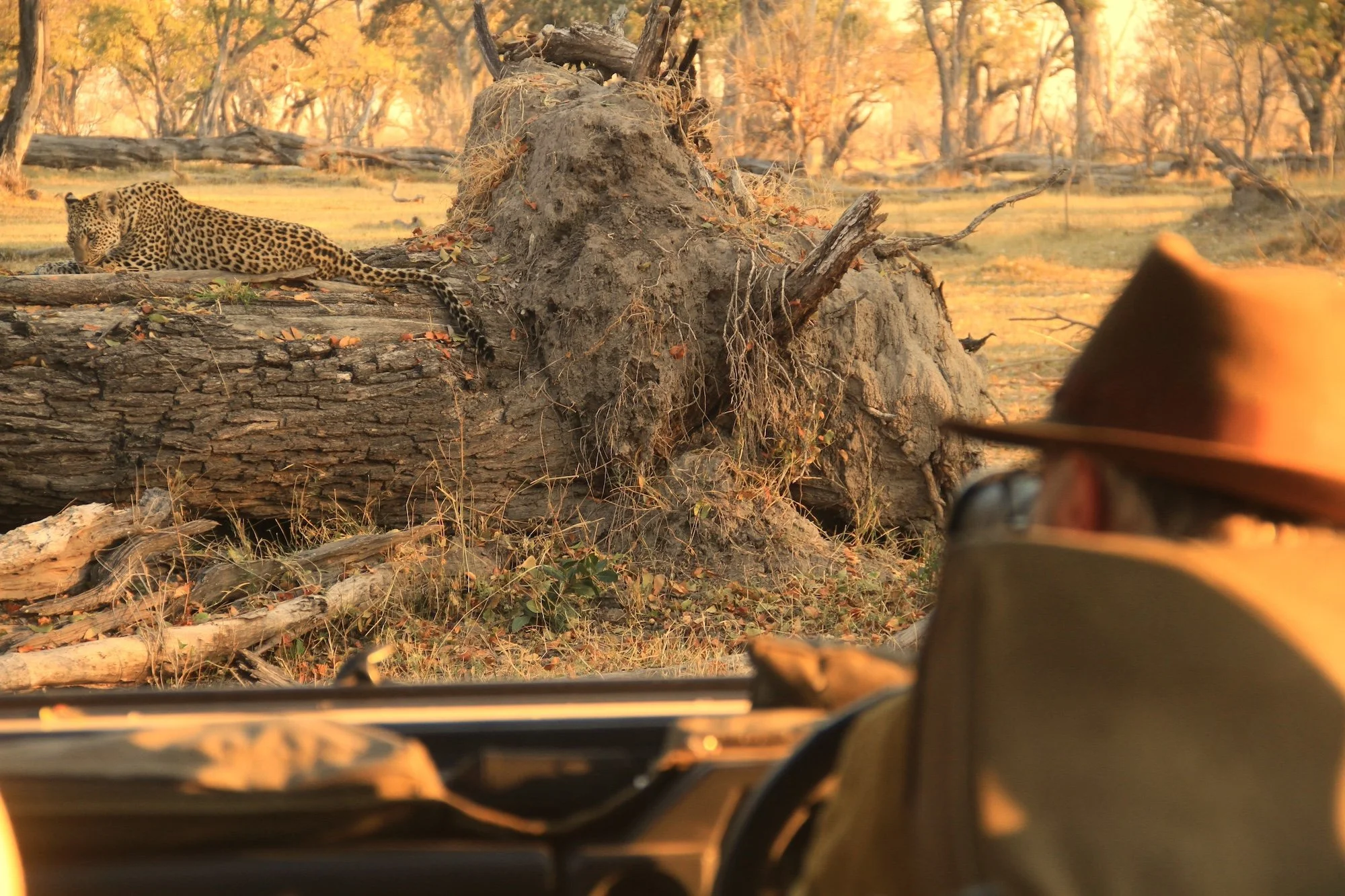 Safari Explorers Private 