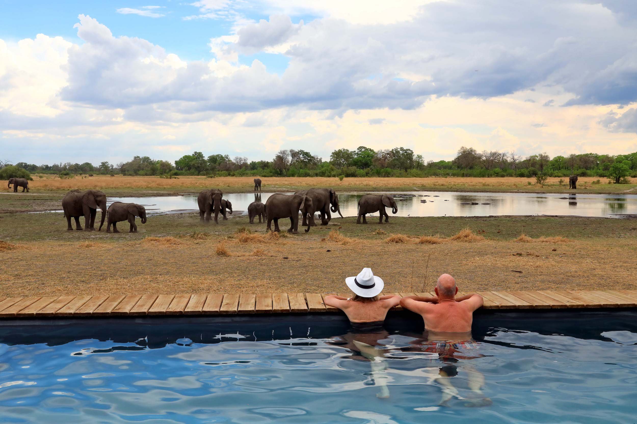amazing-botswana-Bots_Sable Alley_Swimming Pool 6.jpg