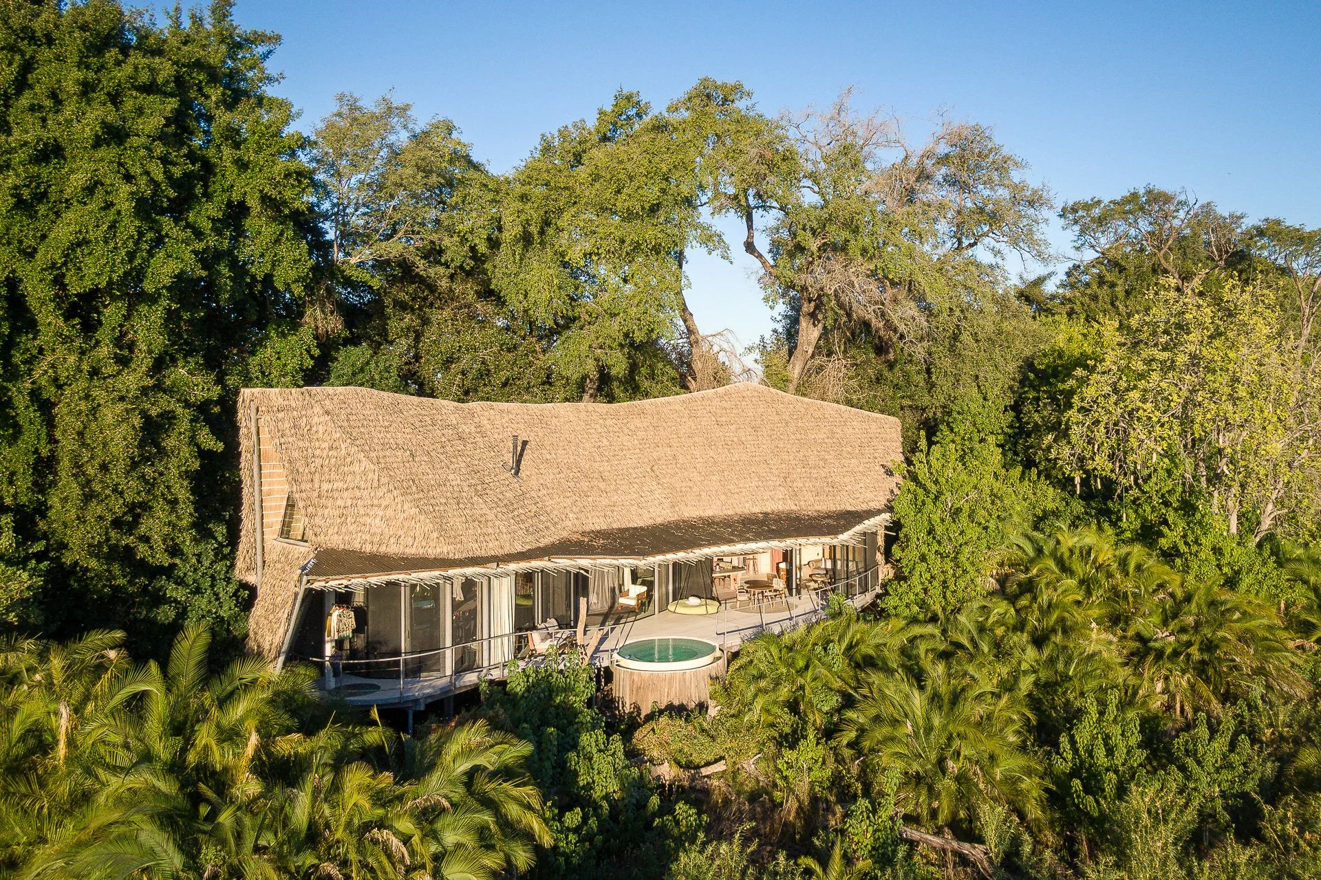 Safari Ultra Luxo Botsuana - Imagens