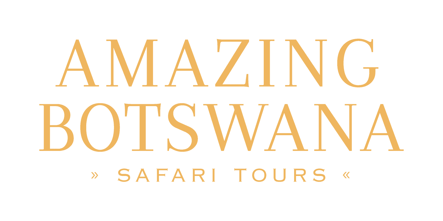 AMAZING BOTSWANA | Safáris em Botsuana