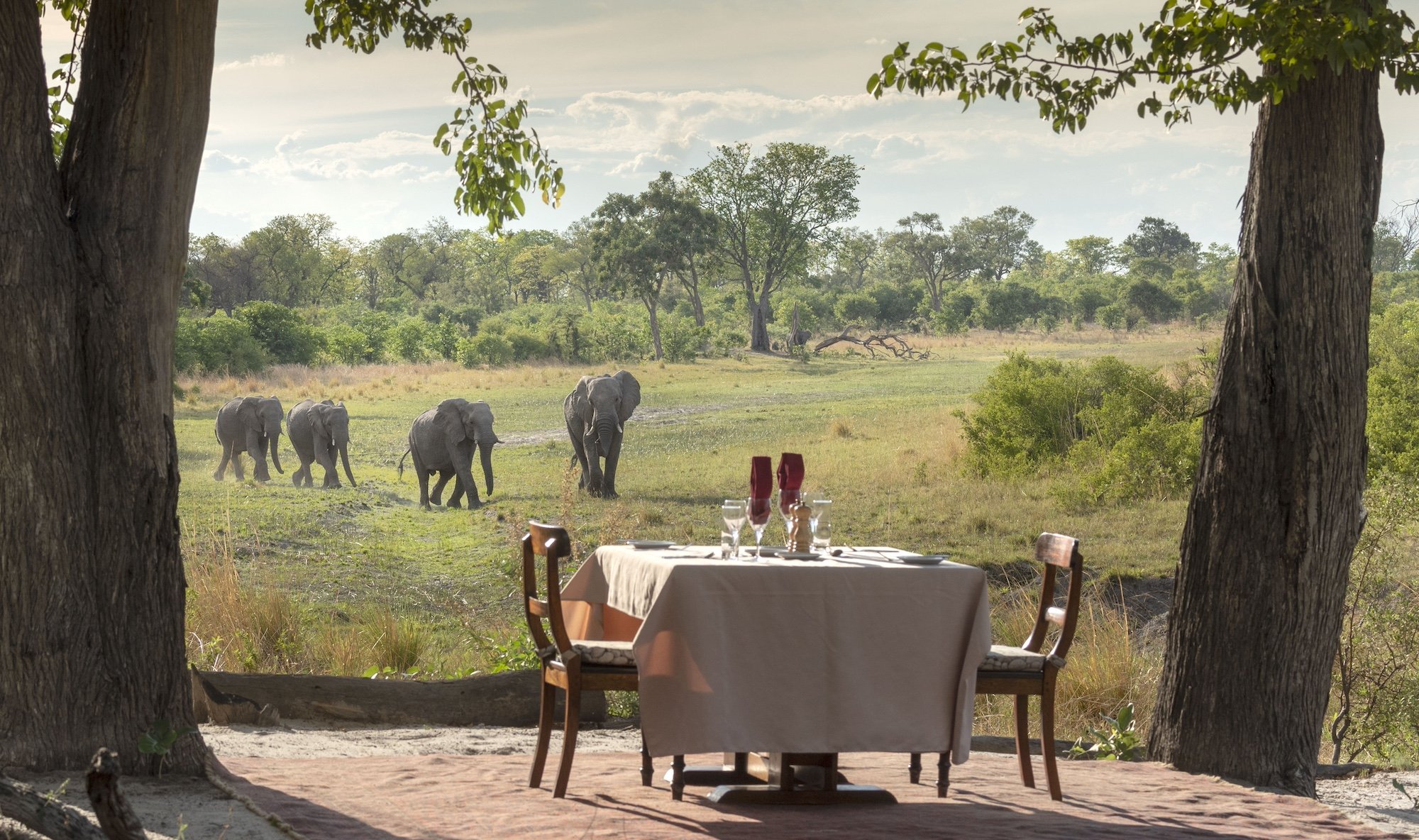 Safari de Luxo Botsuana - Imagens