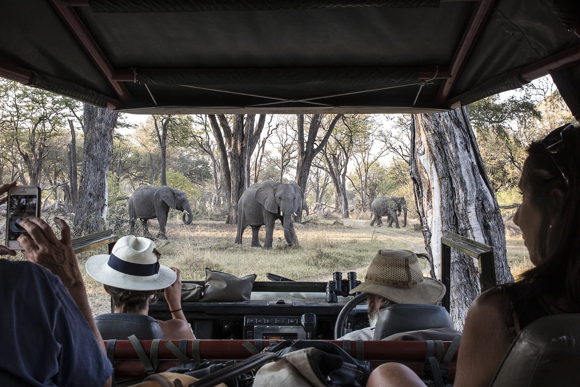 Safari Explorers Private 