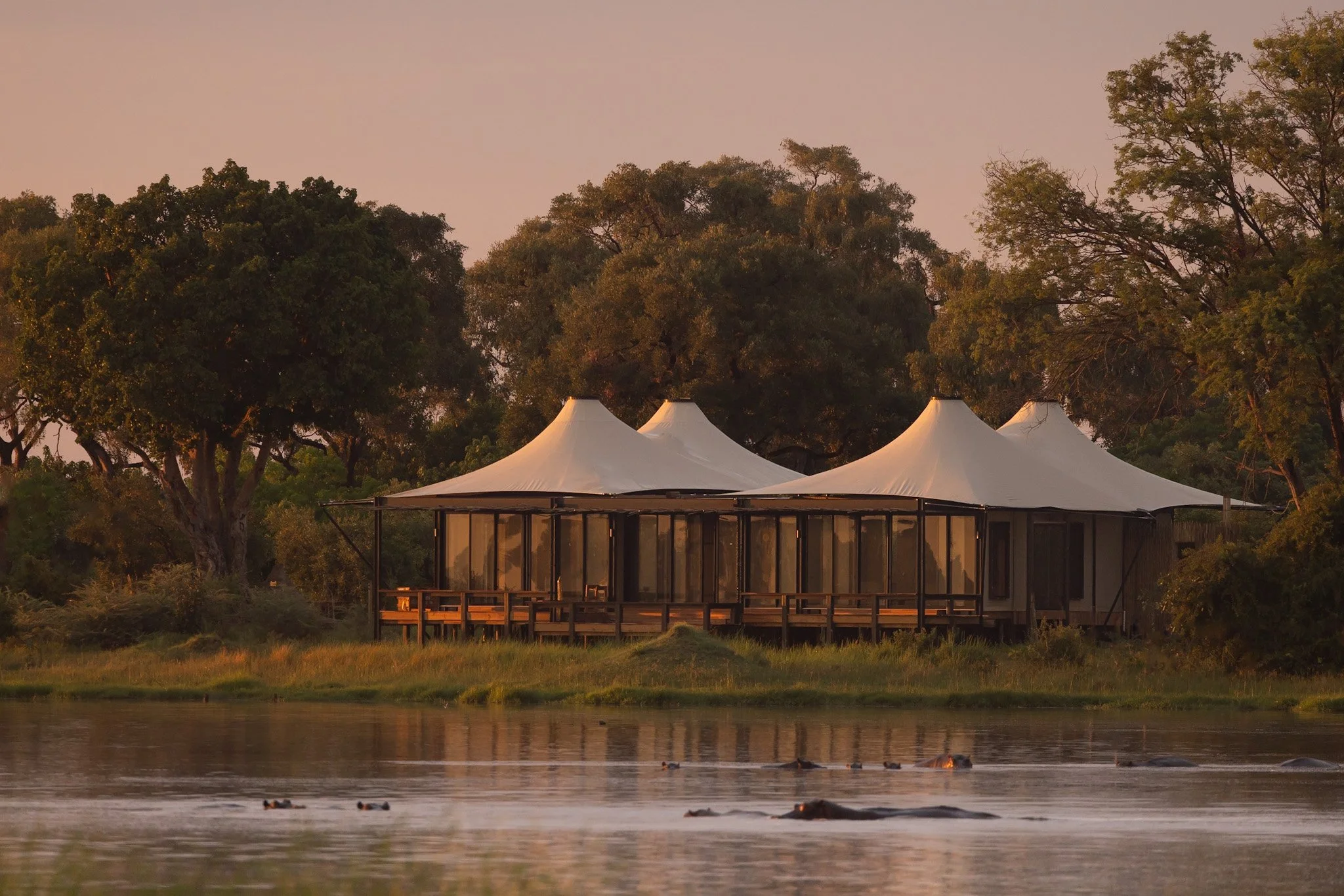 Safari Ultra Luxo Botsuana - Imagens
