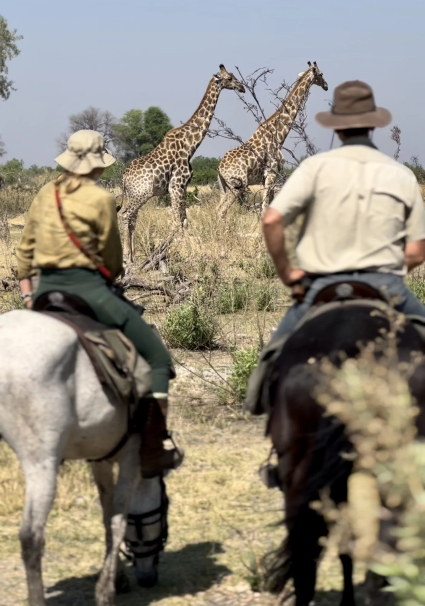 afari A Cavalo Botsuana - Imagem Opção 2