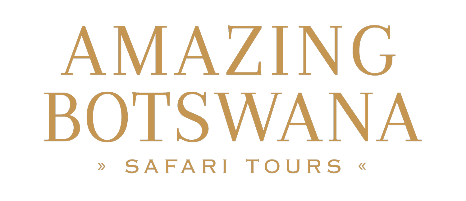 AMAZING BOTSWANA | Safáris em Botsuana