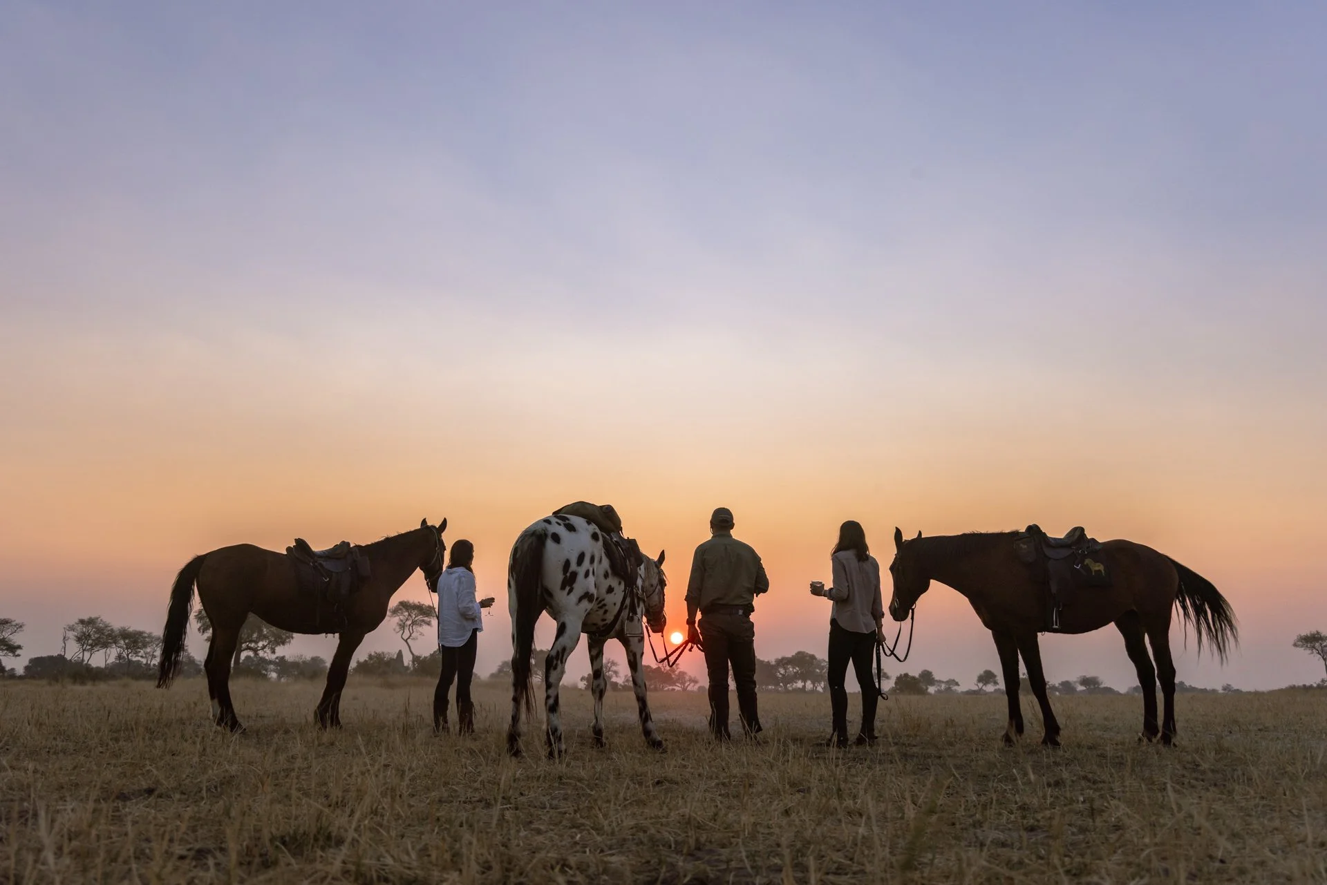 afari A Cavalo Botsuana - Imagem Opção 1