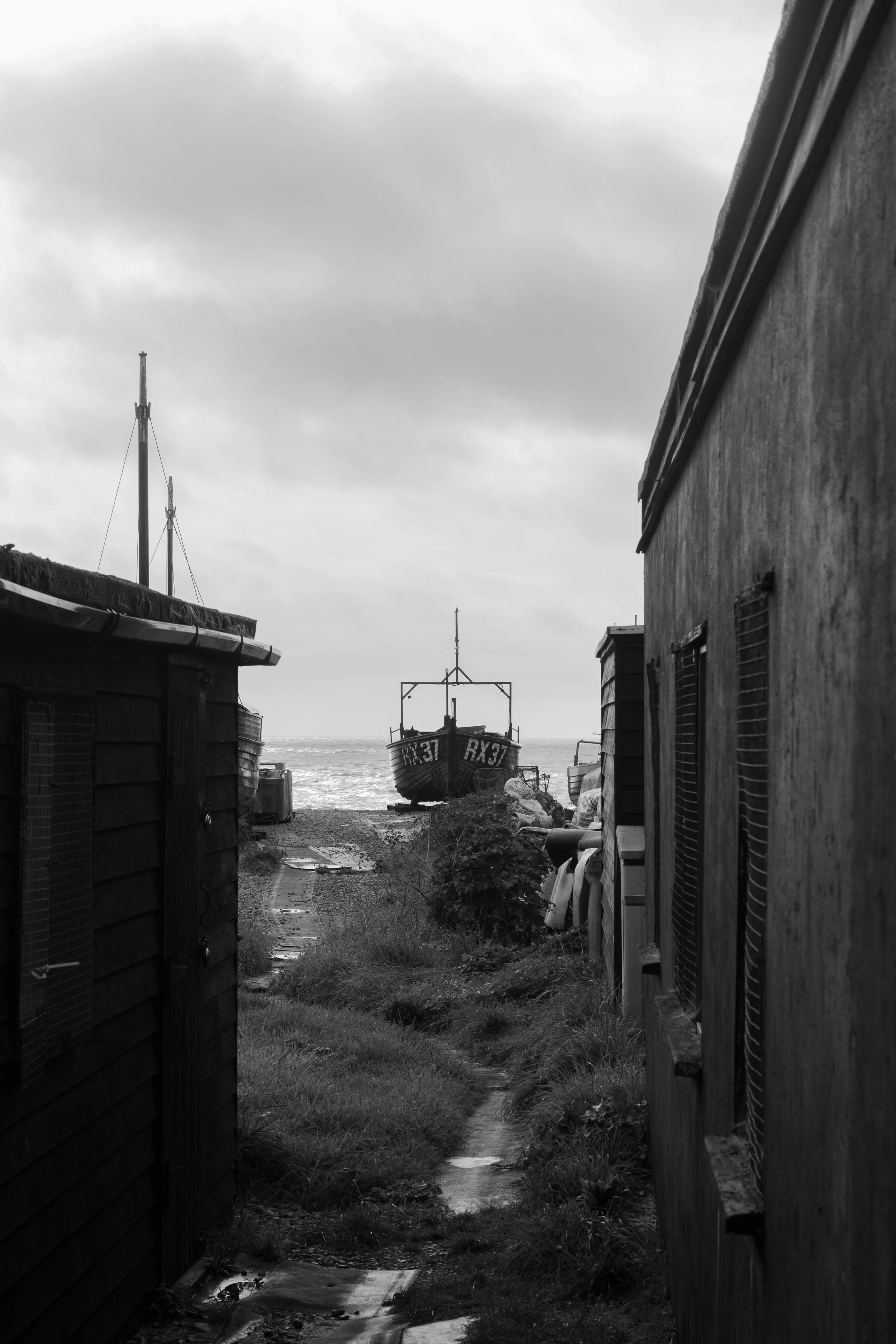 IMG_1992.jpeg