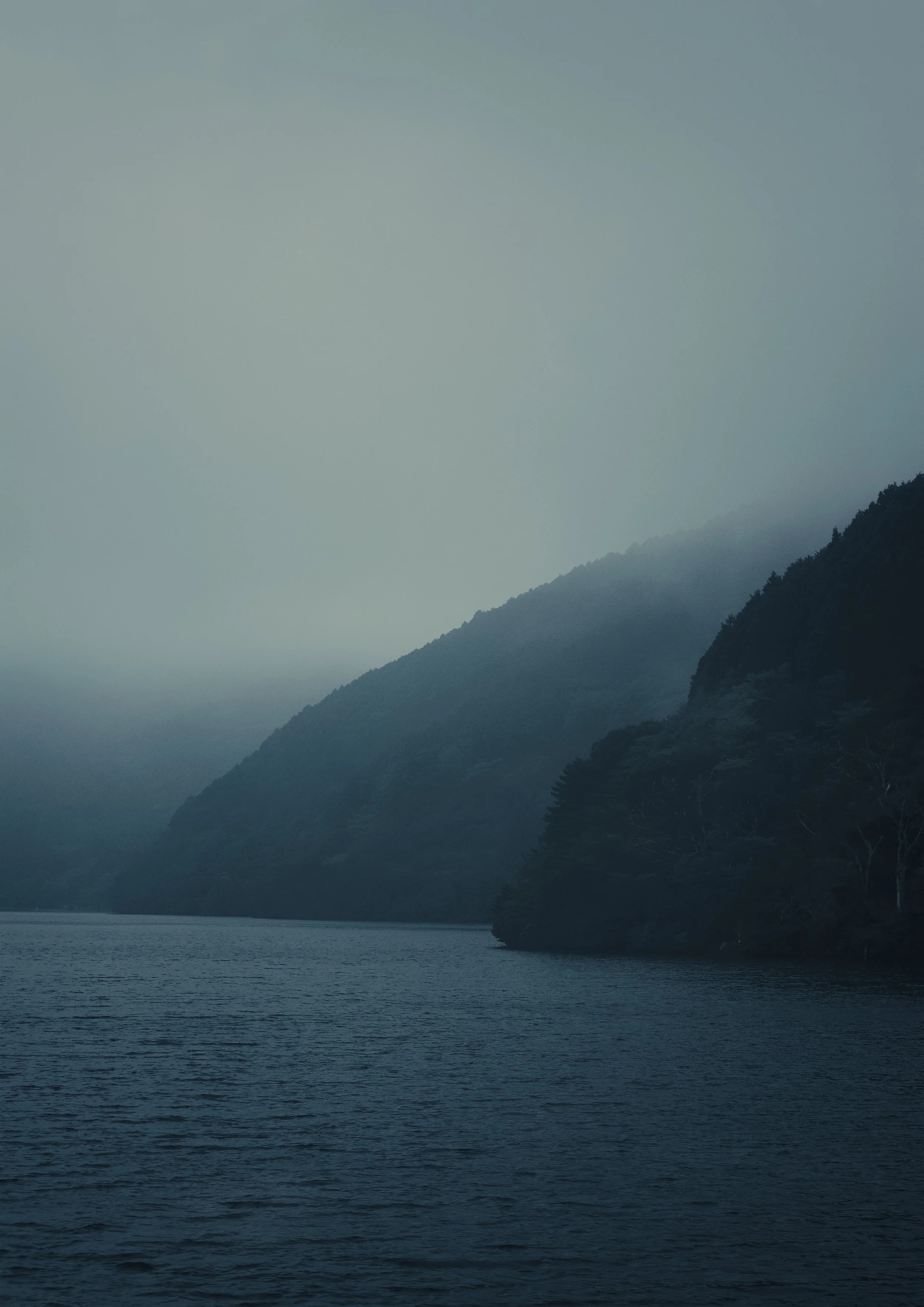A serene landscape of a body of water with a mountainous shoreline covered in trees, shrouded in a blue mist.