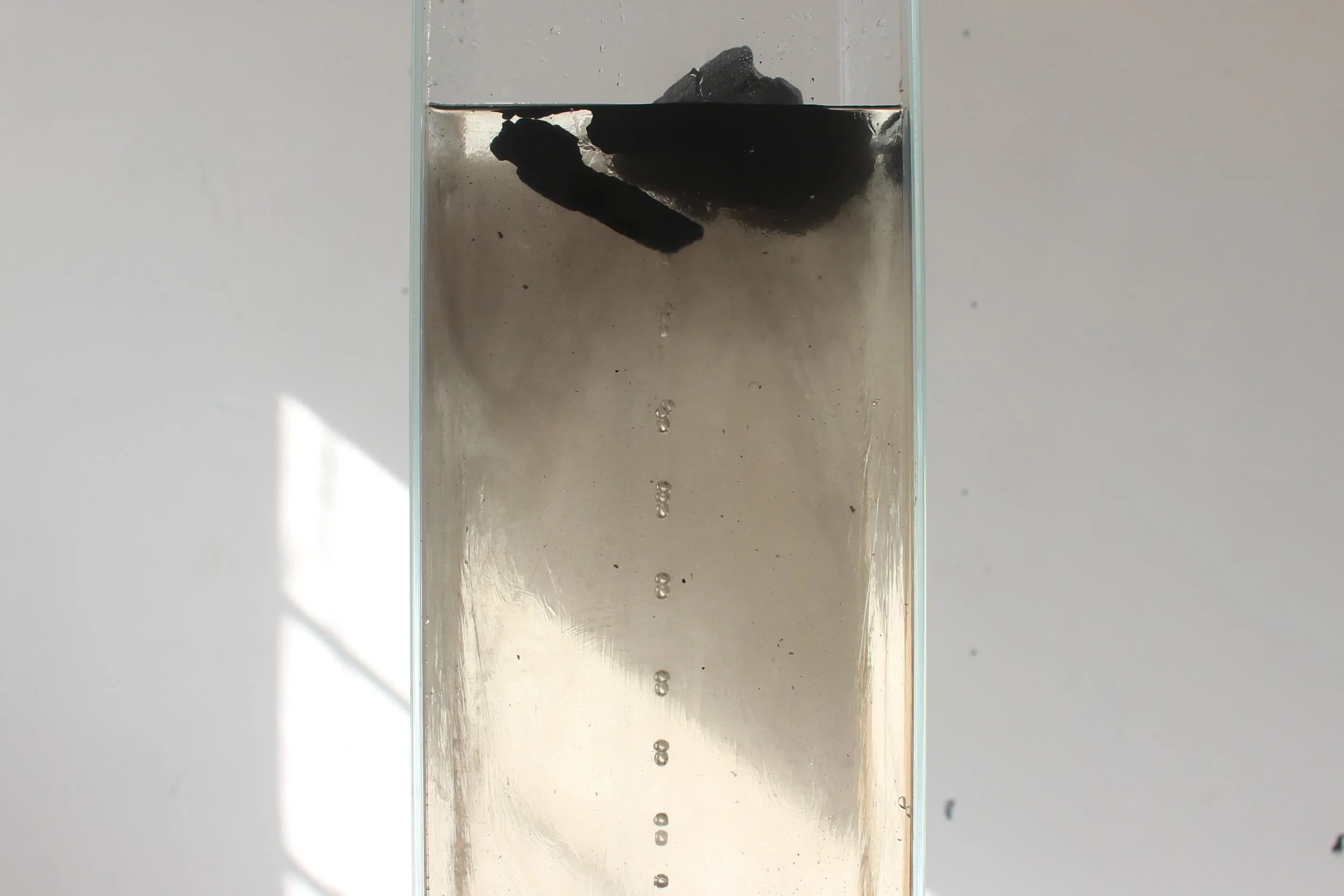 B KEUN MIN

Frictionless Ecosystem, 
Glass, Glycerin, Charcoal, Air pump, 
ASK