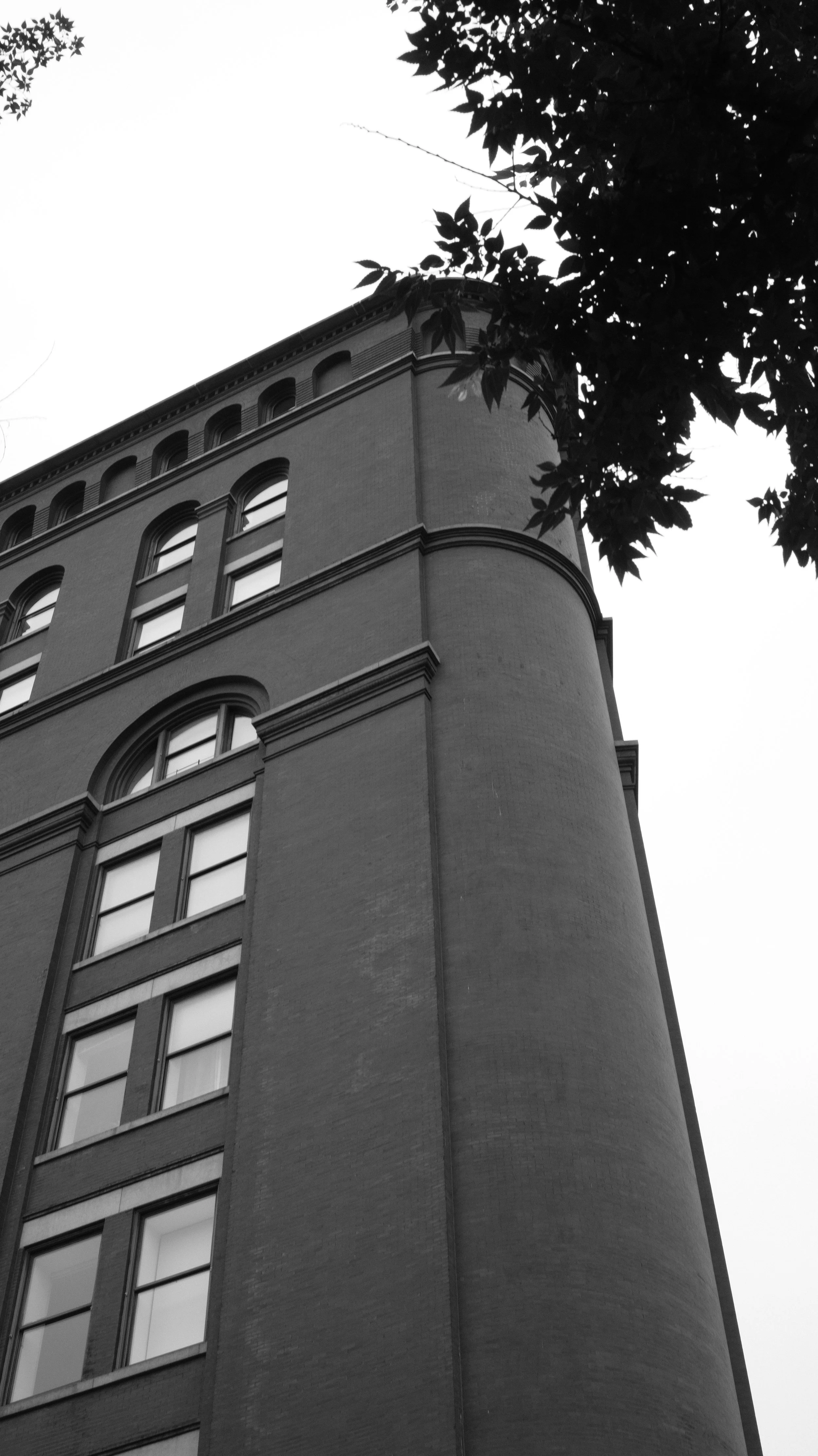 DSCF2483.jpg