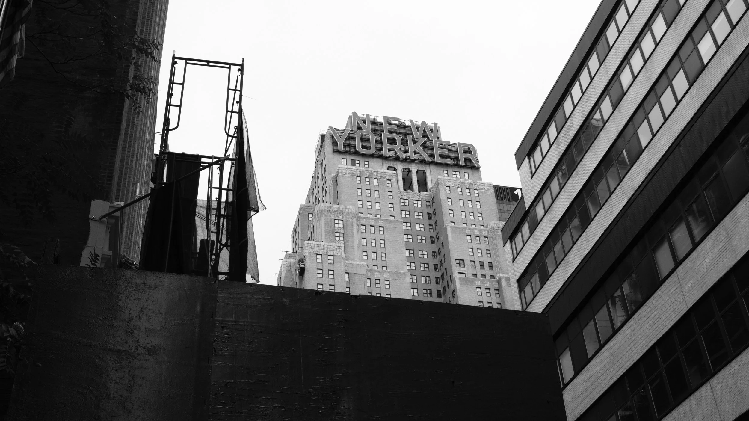 DSCF2717.jpg