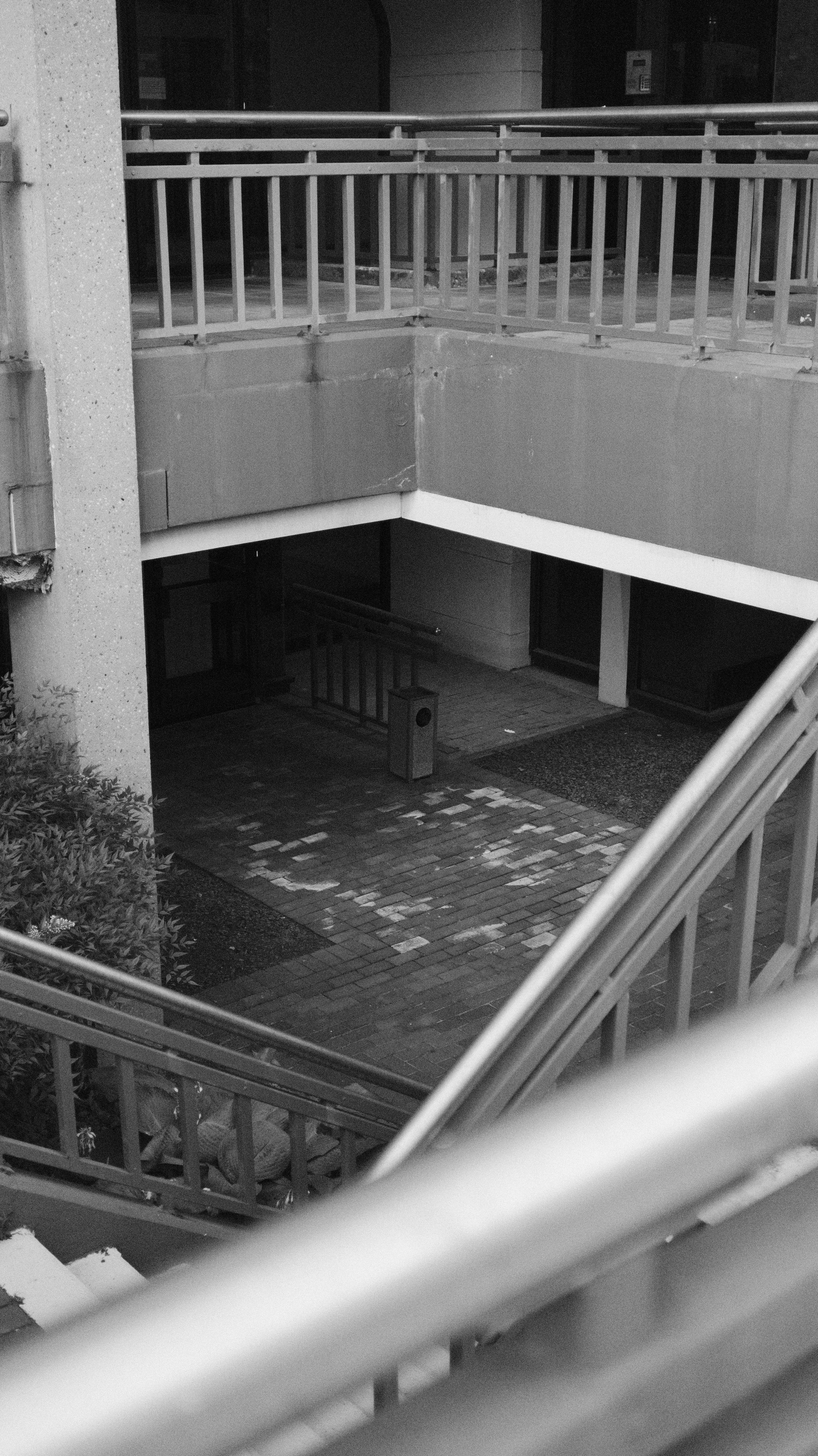 DSCF0397.jpg