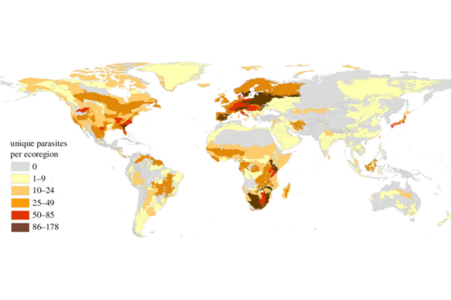 World map showing the number of unique parasites per eco-region, with a color gradient from yellow to dark brown representing 0 to 178 parasites, respectively.
