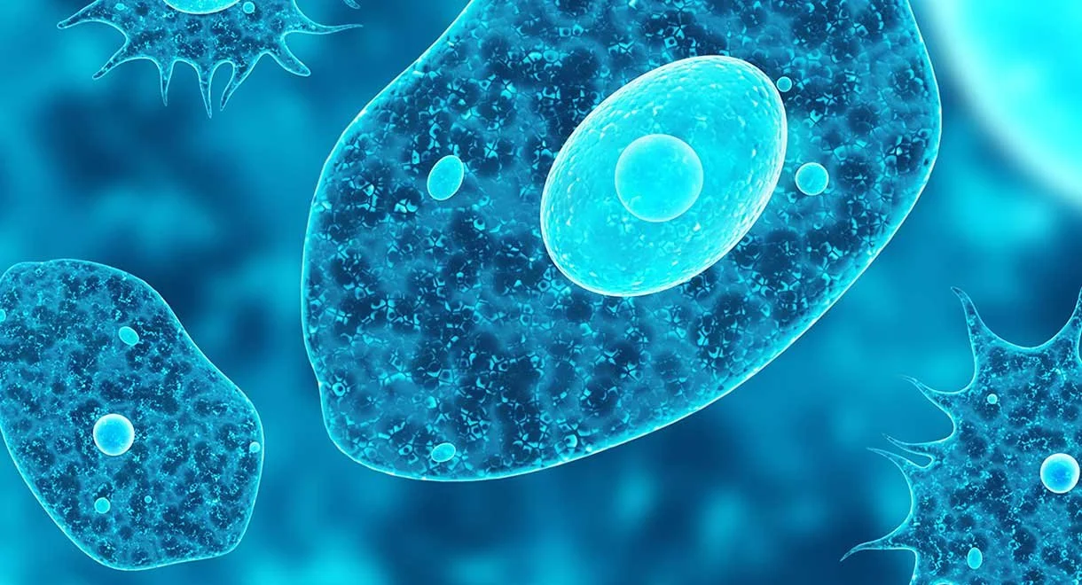 Microscopic view of blue cells and microorganisms in a digital art style.