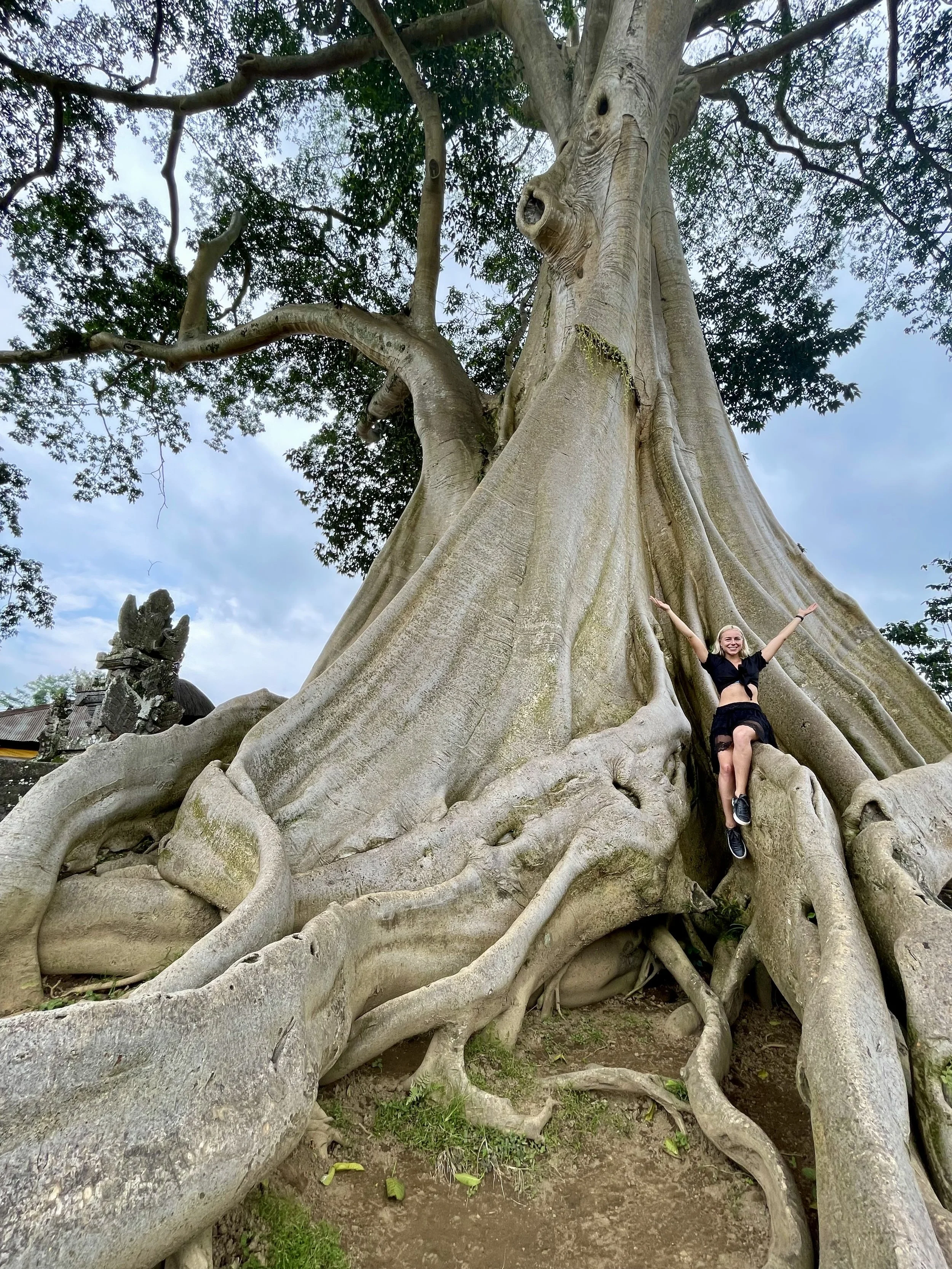 A large, ancient tree with thick, twisting roots and a wide trunk. A young woman is sitting on one of the roots with her arms raised happily. The tree's branches are extending outward with green leaves. The sky in the background is partly cloudy.