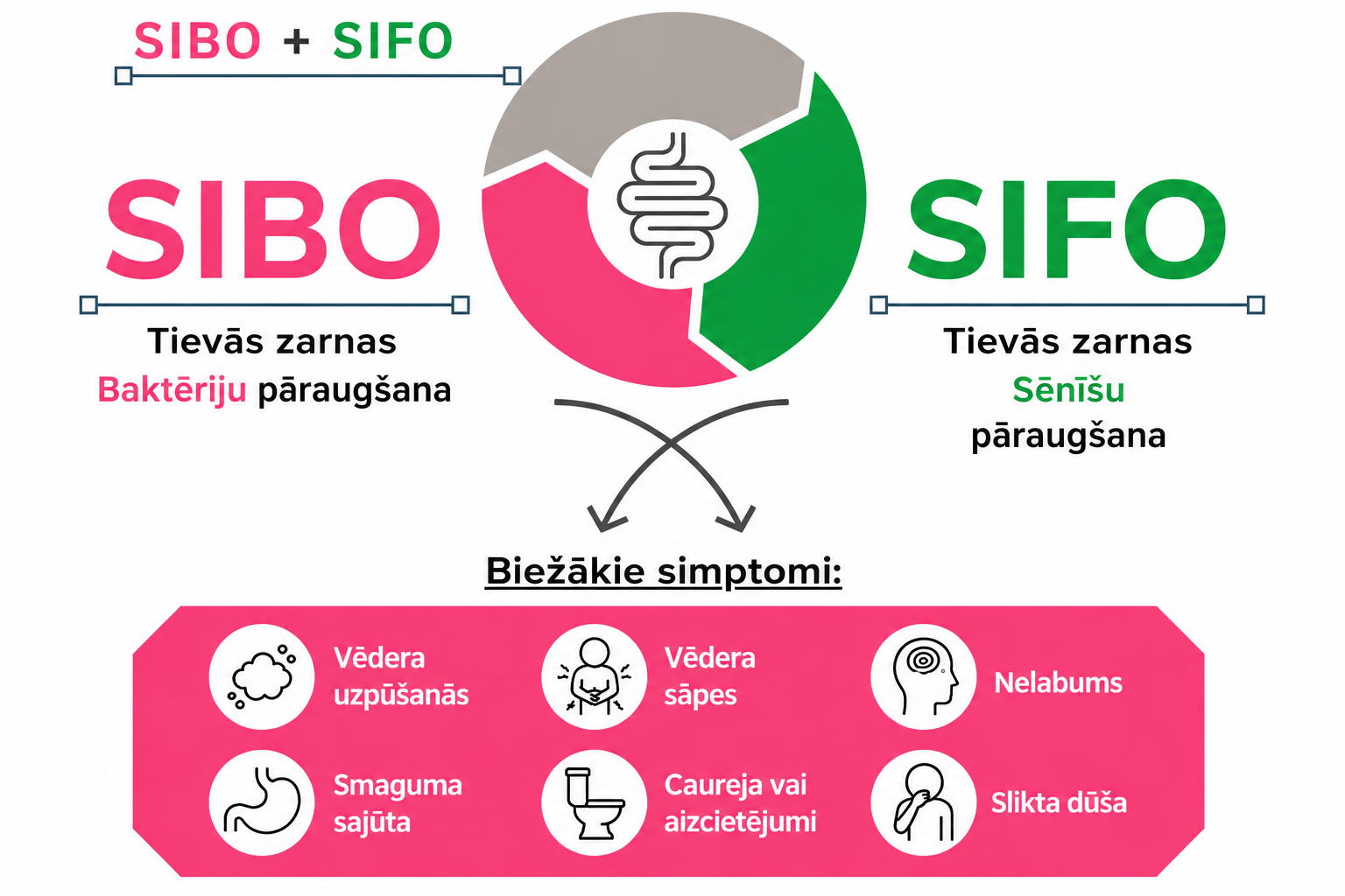 Infographic comparing probiotics SIBO and SIFO, highlighting bacterial overgrowth in the small intestine for SIBO and yeast overgrowth for SIFO, along with common symptoms like headaches, stomach pain, fatigue, and mental fog.