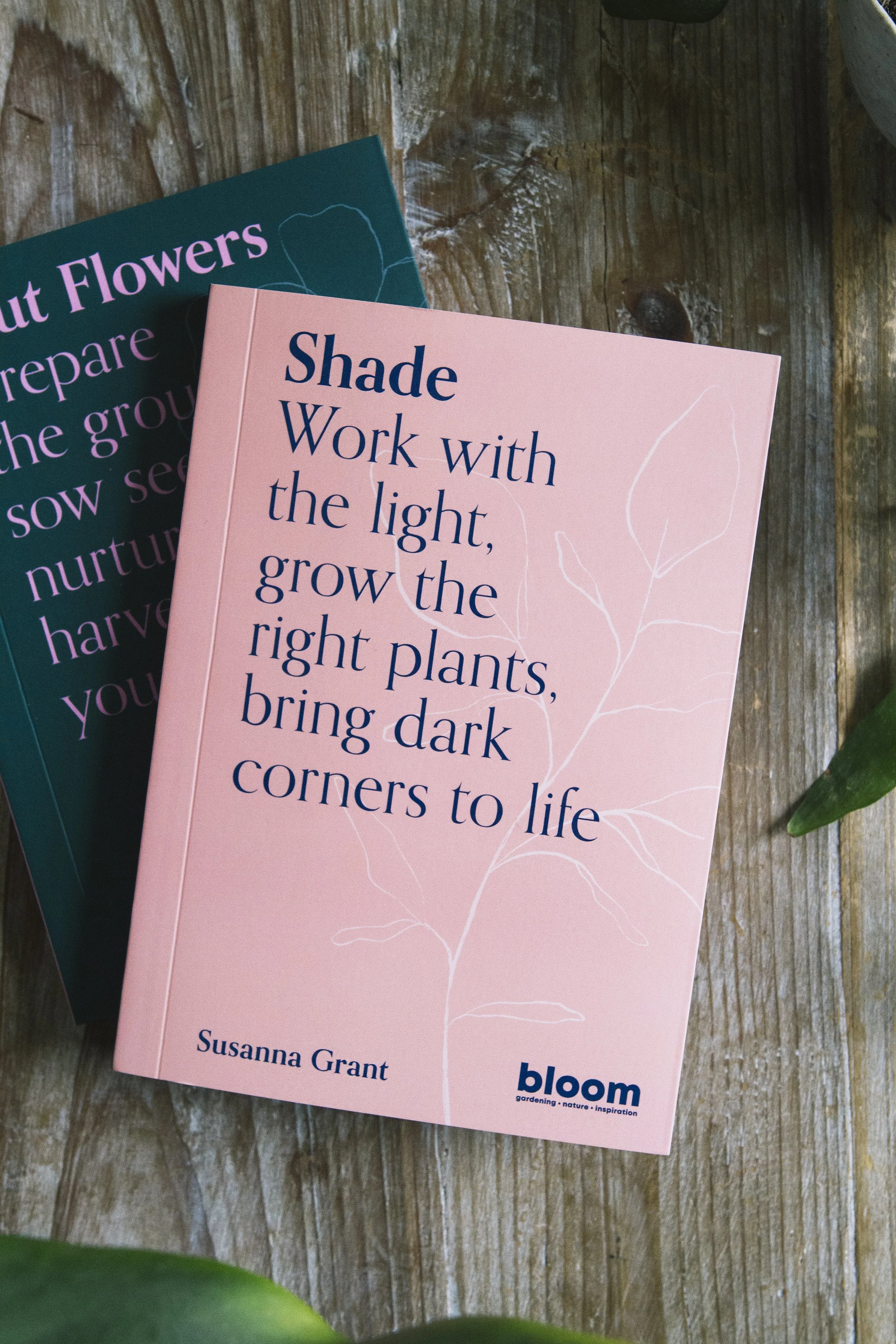 Shade_IMG_0590.jpg