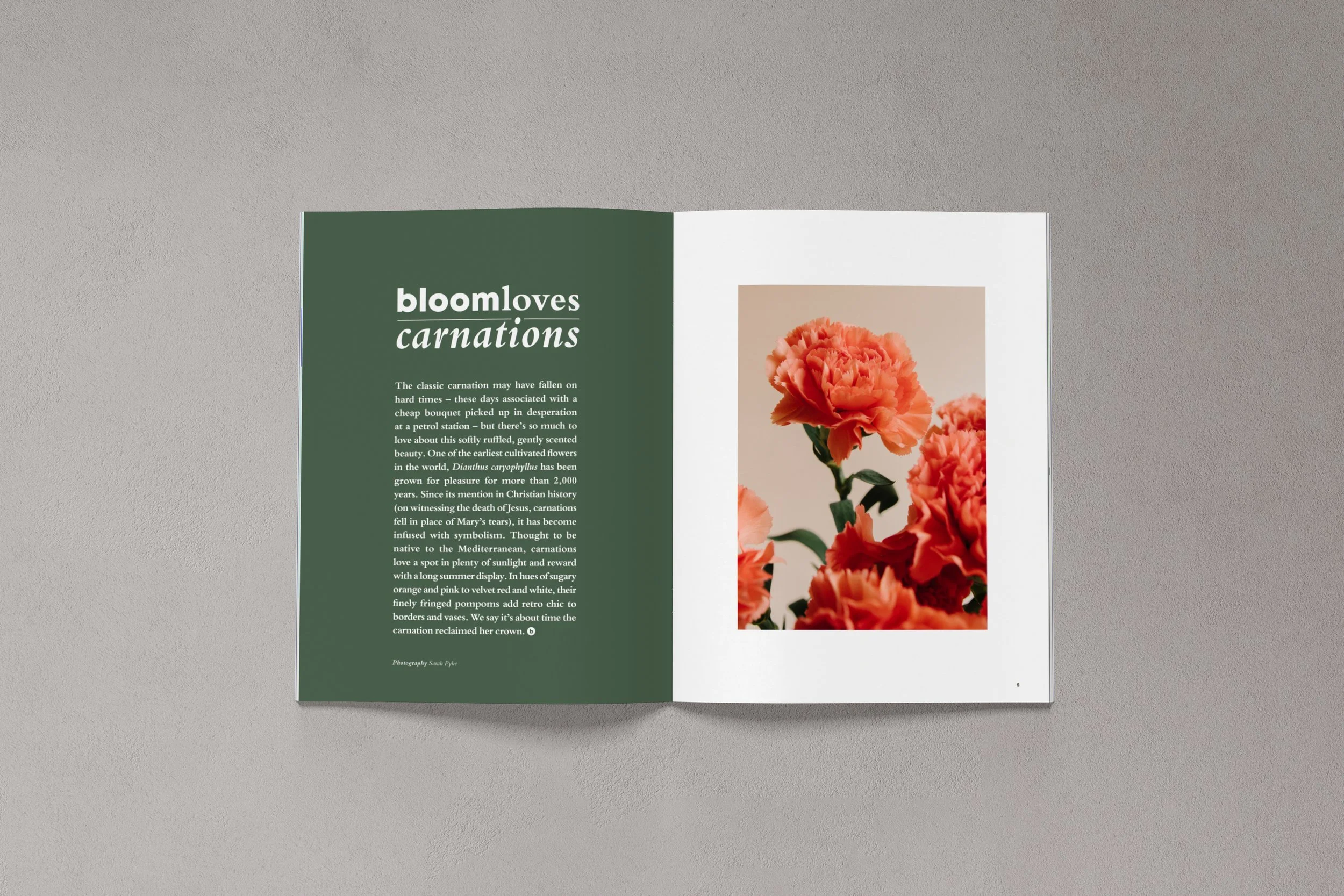Layout of gardening magazine commissioned and produced for Bloom by Zena Alkayat, founder of Sylvie Studio
