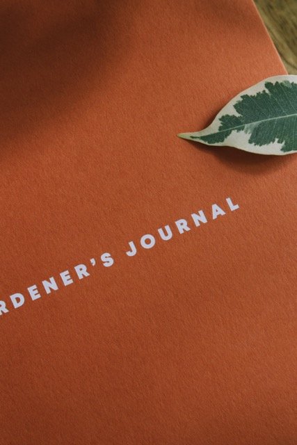 GardenersJournalNEW_IMG_0149 Medium.jpeg