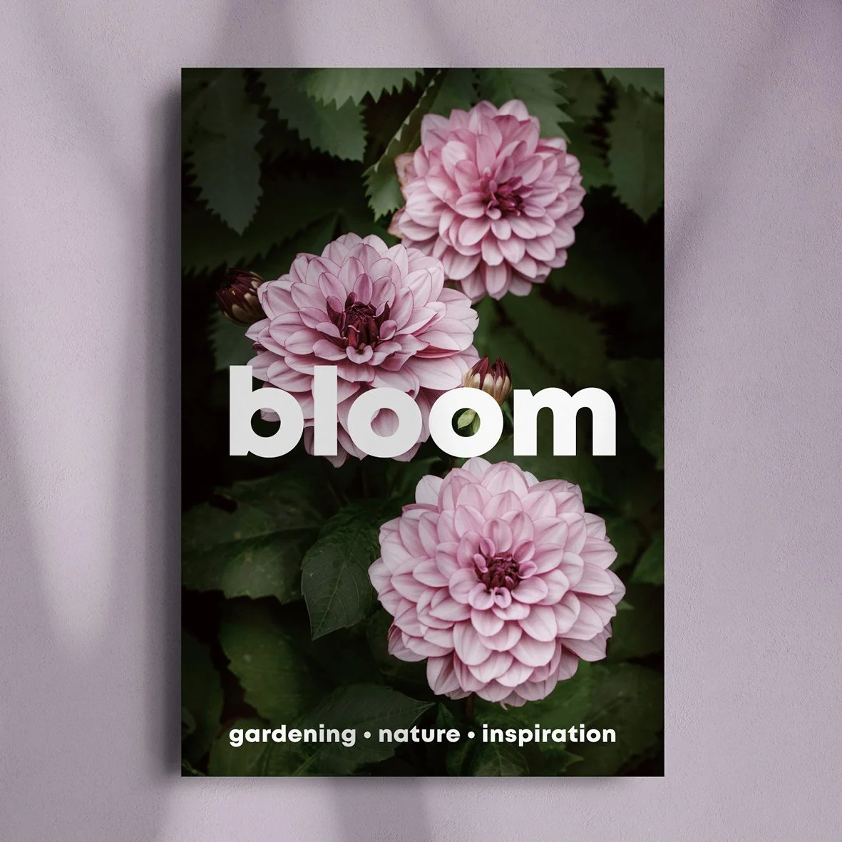 Bloom_Issue 16 cover reveal.jpg