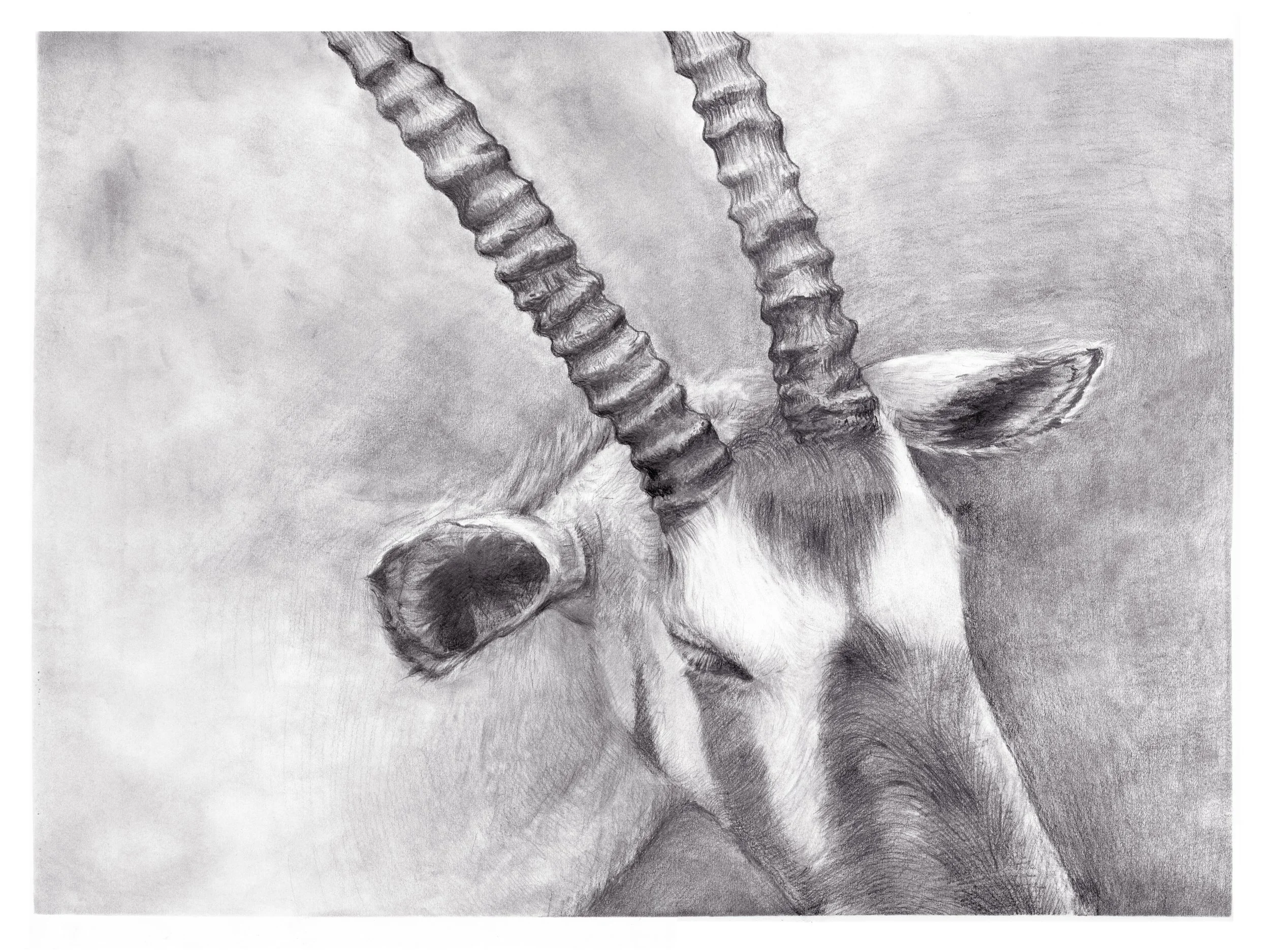 Phantom of the Past - graphite.jpg