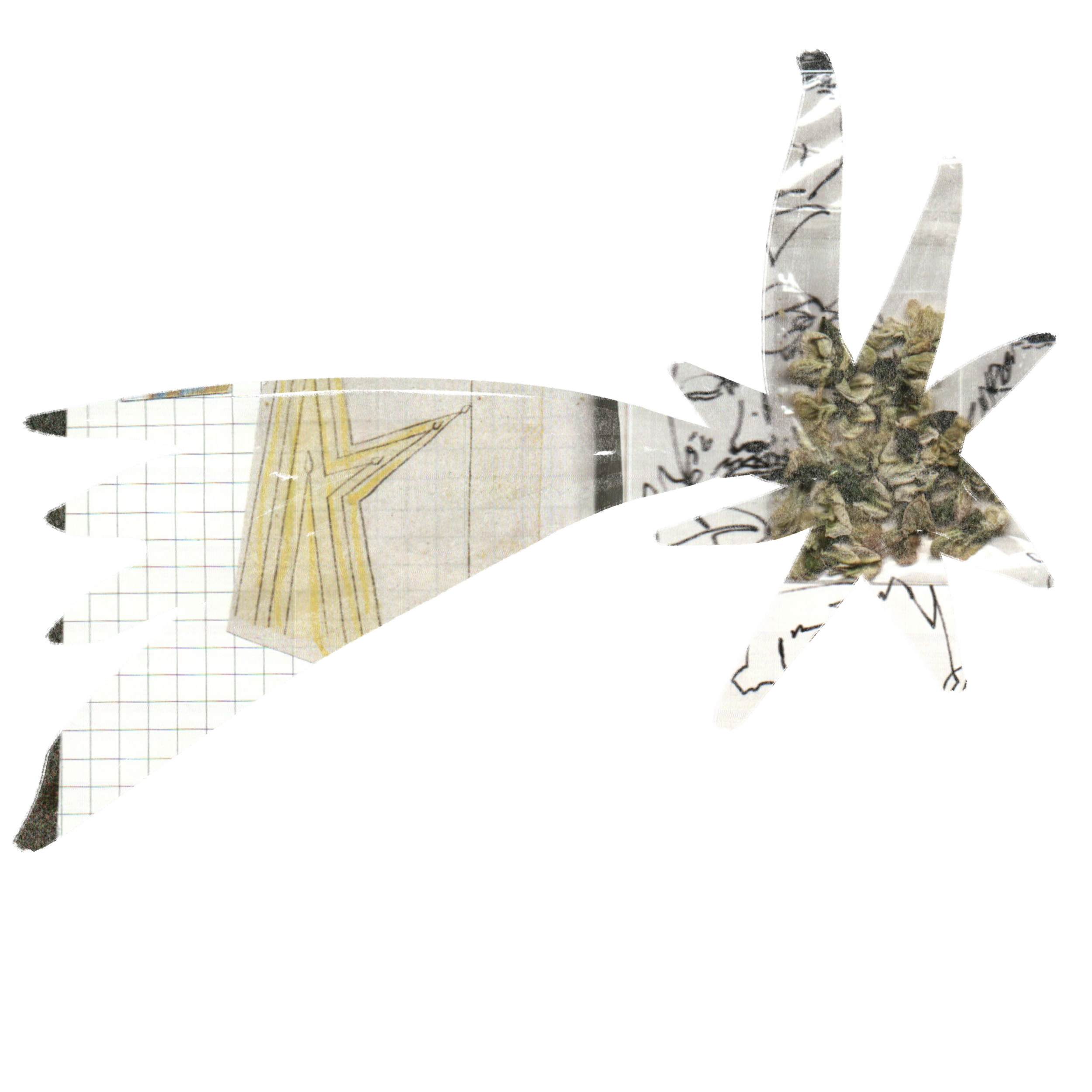 Illustration_sans_titre 90.png