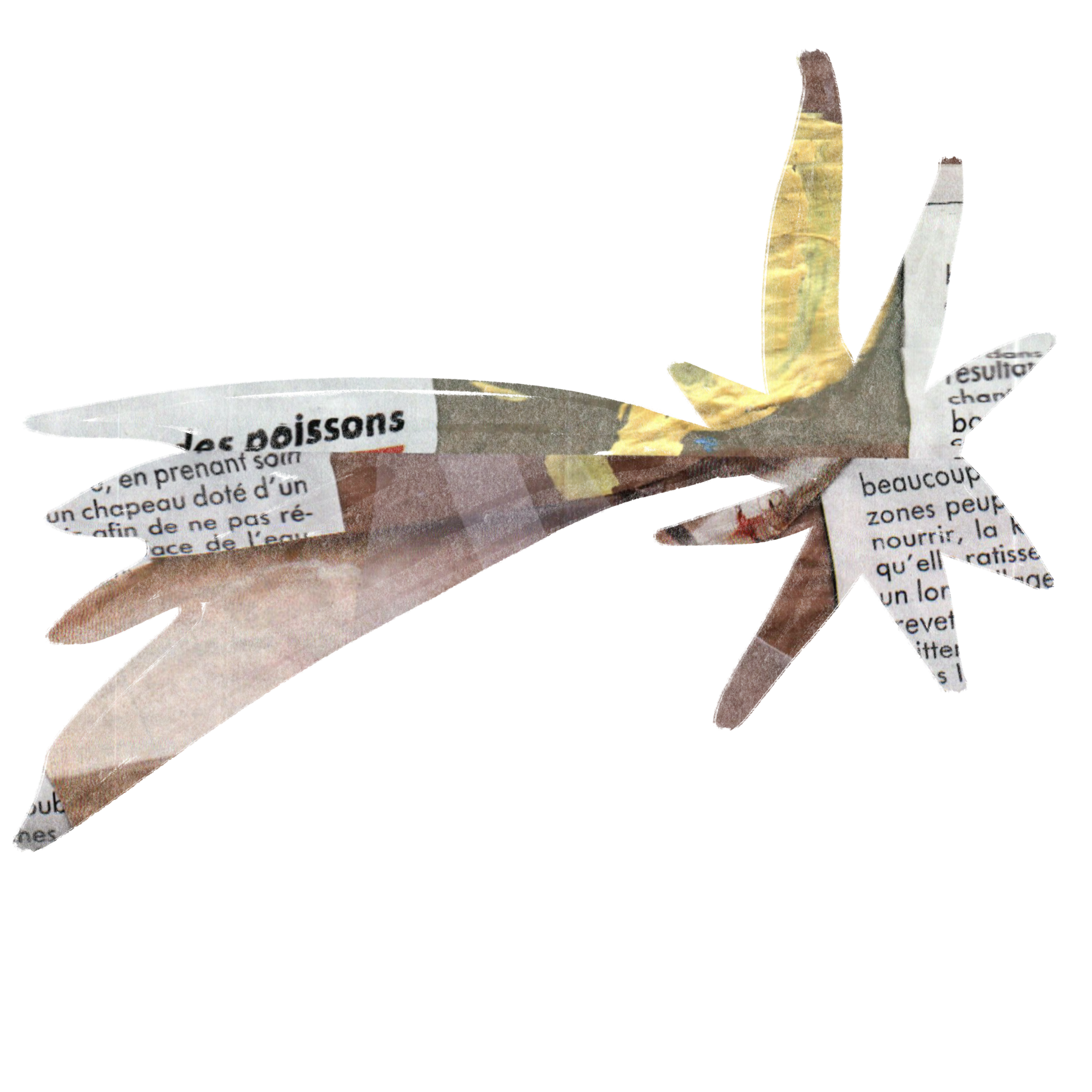 Illustration_sans_titre 113.png