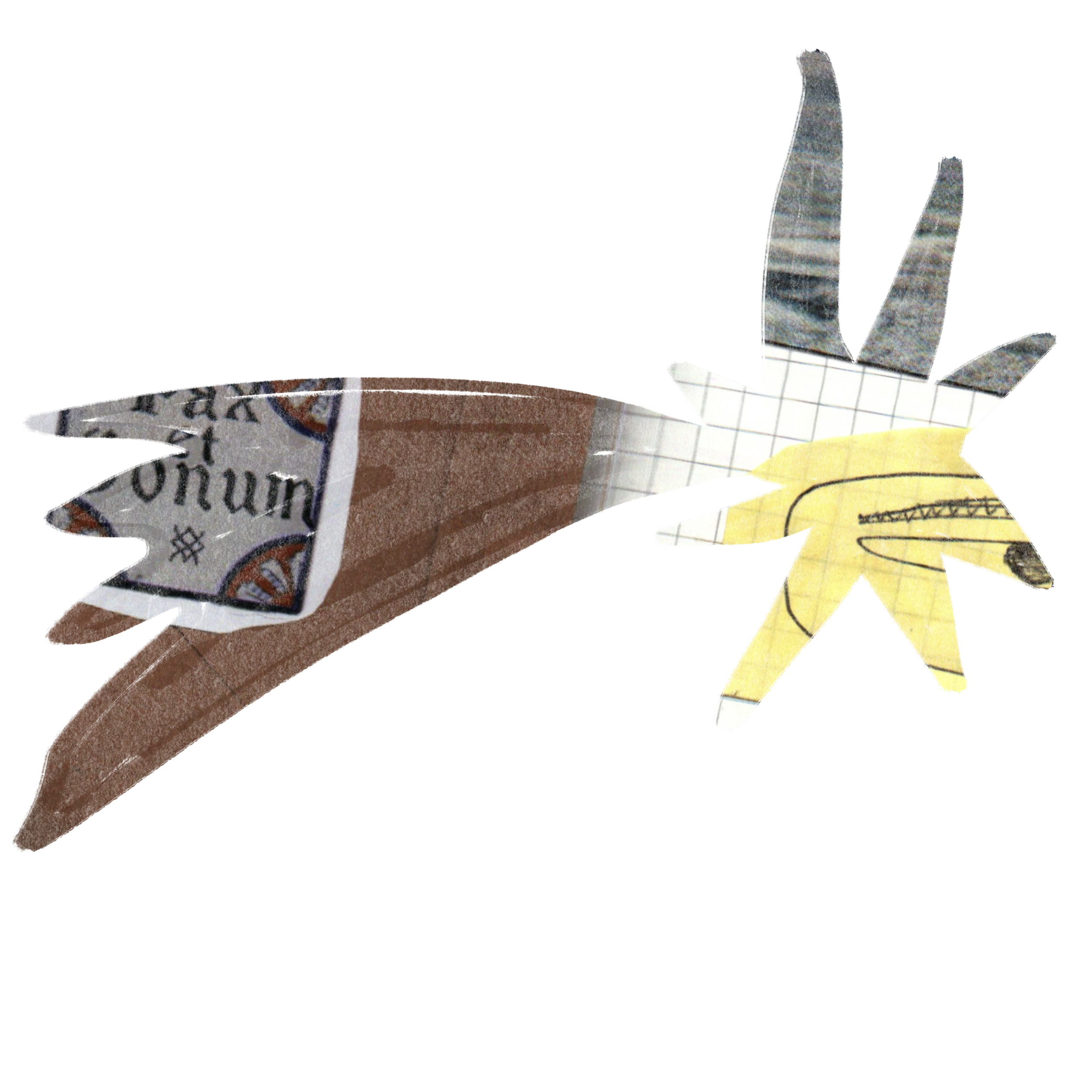 Illustration_sans_titre 95.png
