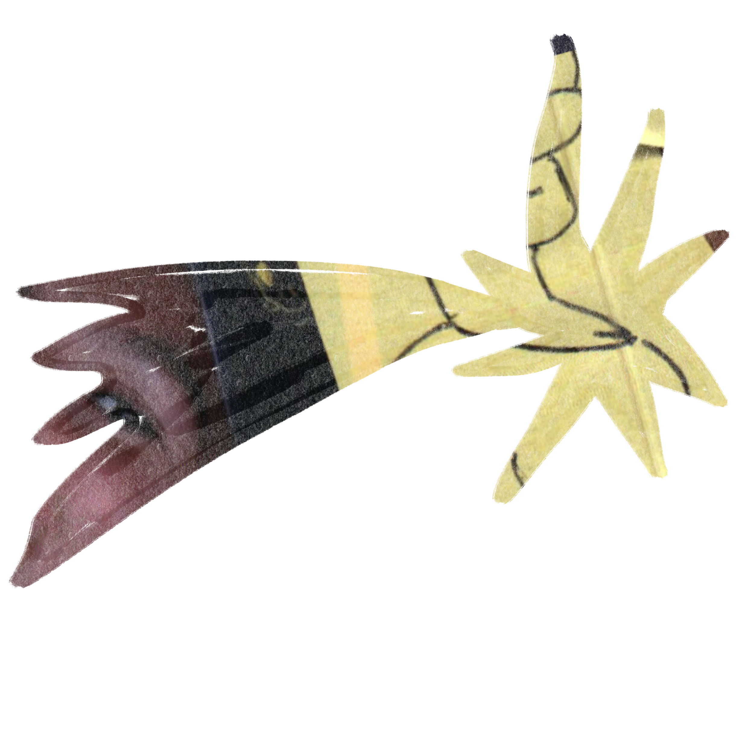 Illustration_sans_titre 96.png