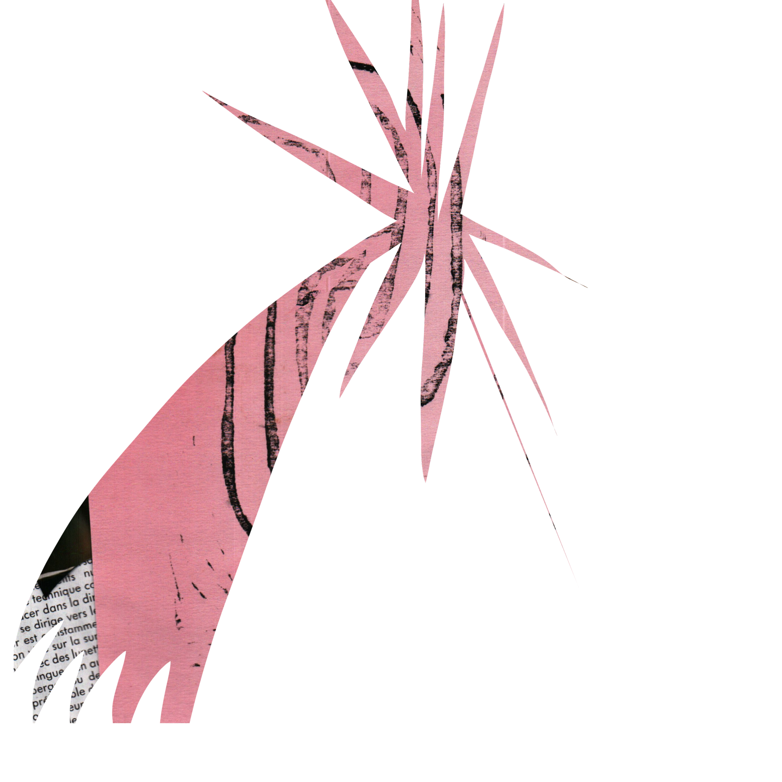 Illustration_sans_titre 76.png