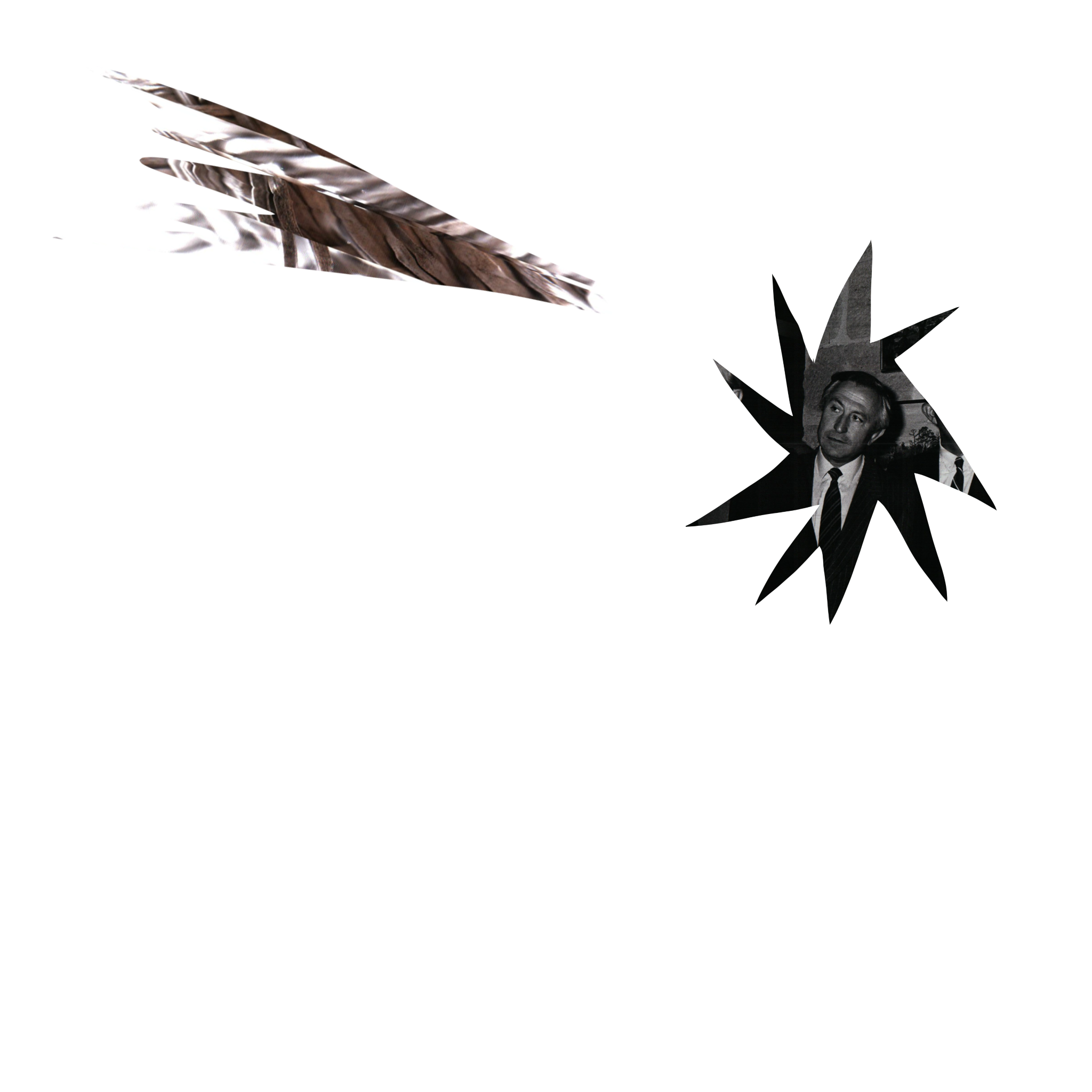 Illustration_sans_titre 70.png