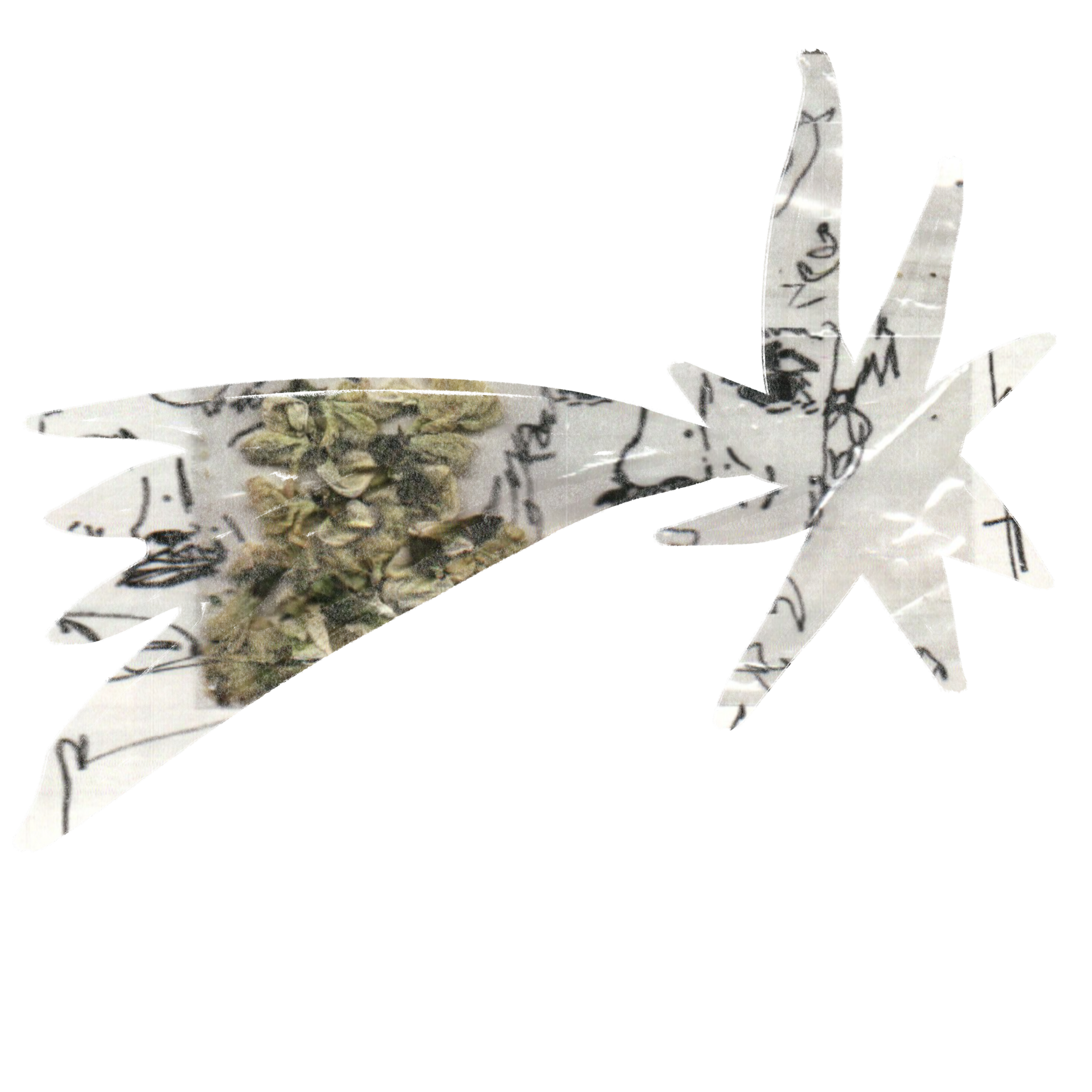 Illustration_sans_titre 91.png
