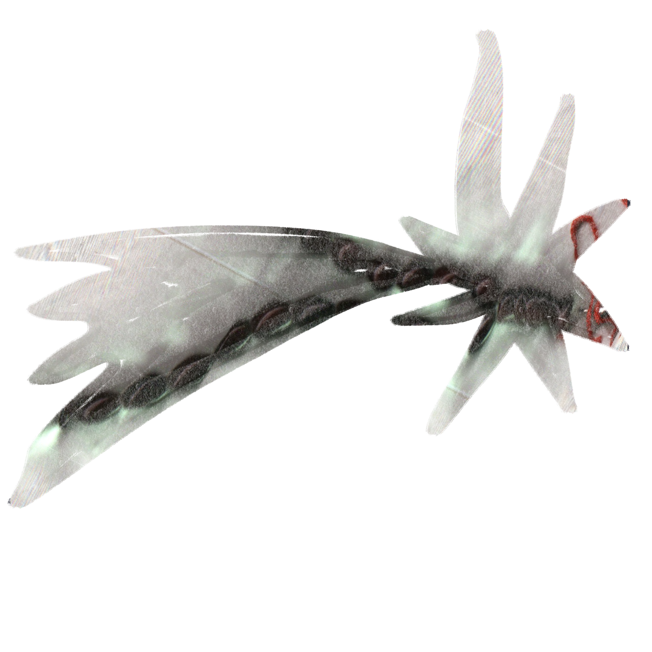 Illustration_sans_titre 115.png