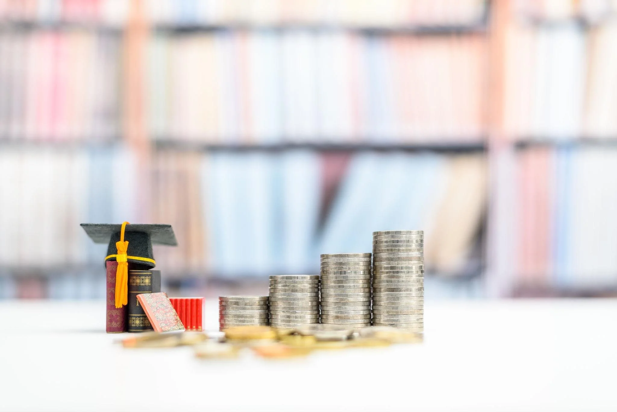 Student Loan Removal