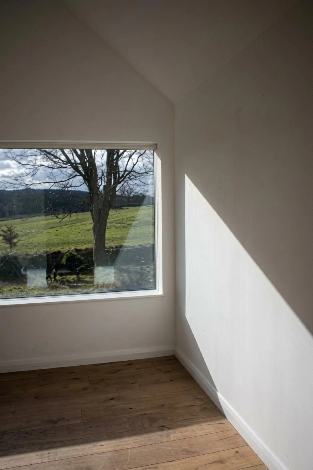 House conversion and two-storey extension in Great Bedwyn, Wiltshire, combining timber-frame construction with high-quality contemporary residential design- Edge Architecture
