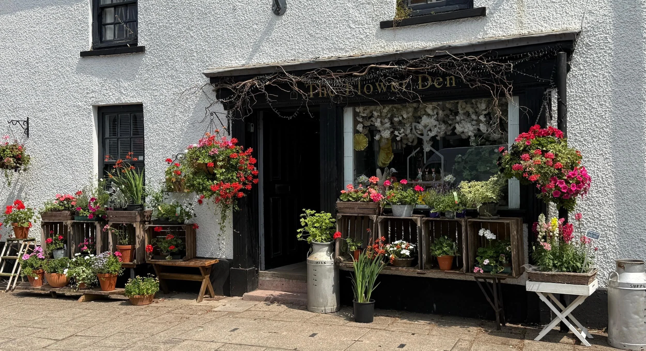 Flower shop exterior with flower pots displayed on rustic wooden crates and hanging baskets filled with colourful flowers outside a white textured building with black window frames and a black door.
