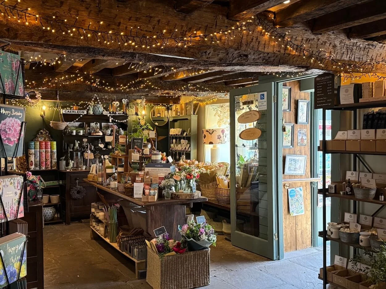 Interior of a cosy shop decorated with string lights, featuring shelves with various home decor items, flowers in baskets, and artwork on the walls. There is a glass door leading outside.