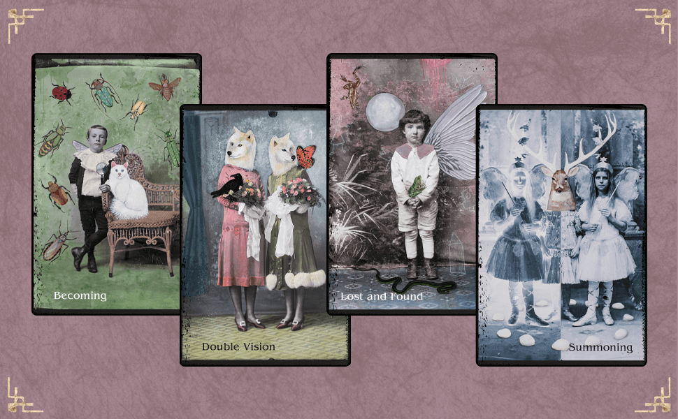 Four artistic cards with surreal images, each labeled: Becoming, Double Vision, Lost and Found, Summoning, placed against a pink textured background. All part of the cards from Oracle of Rewilding.